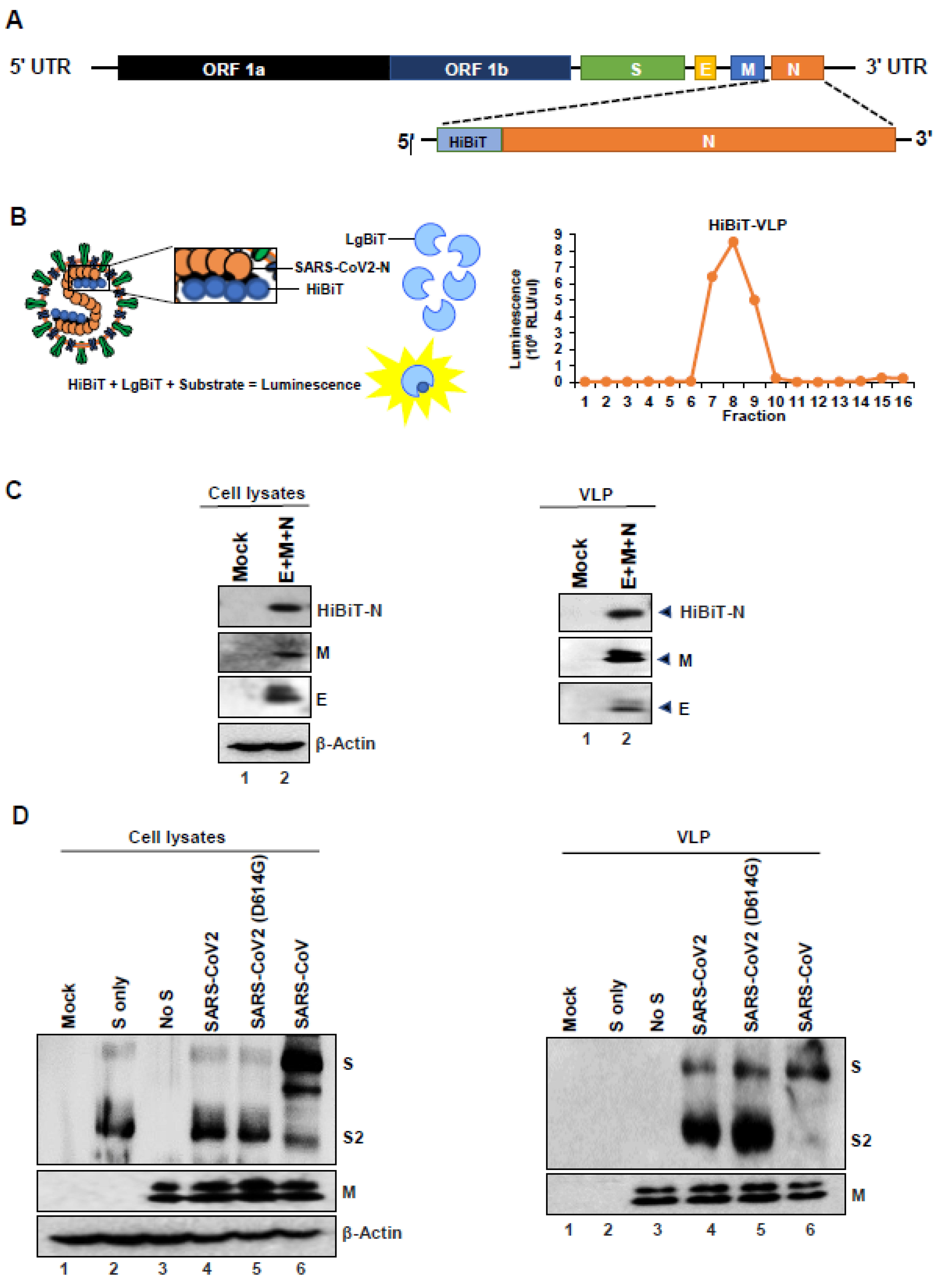 Cells 10 00853 g002 Cells 10 00853 g002