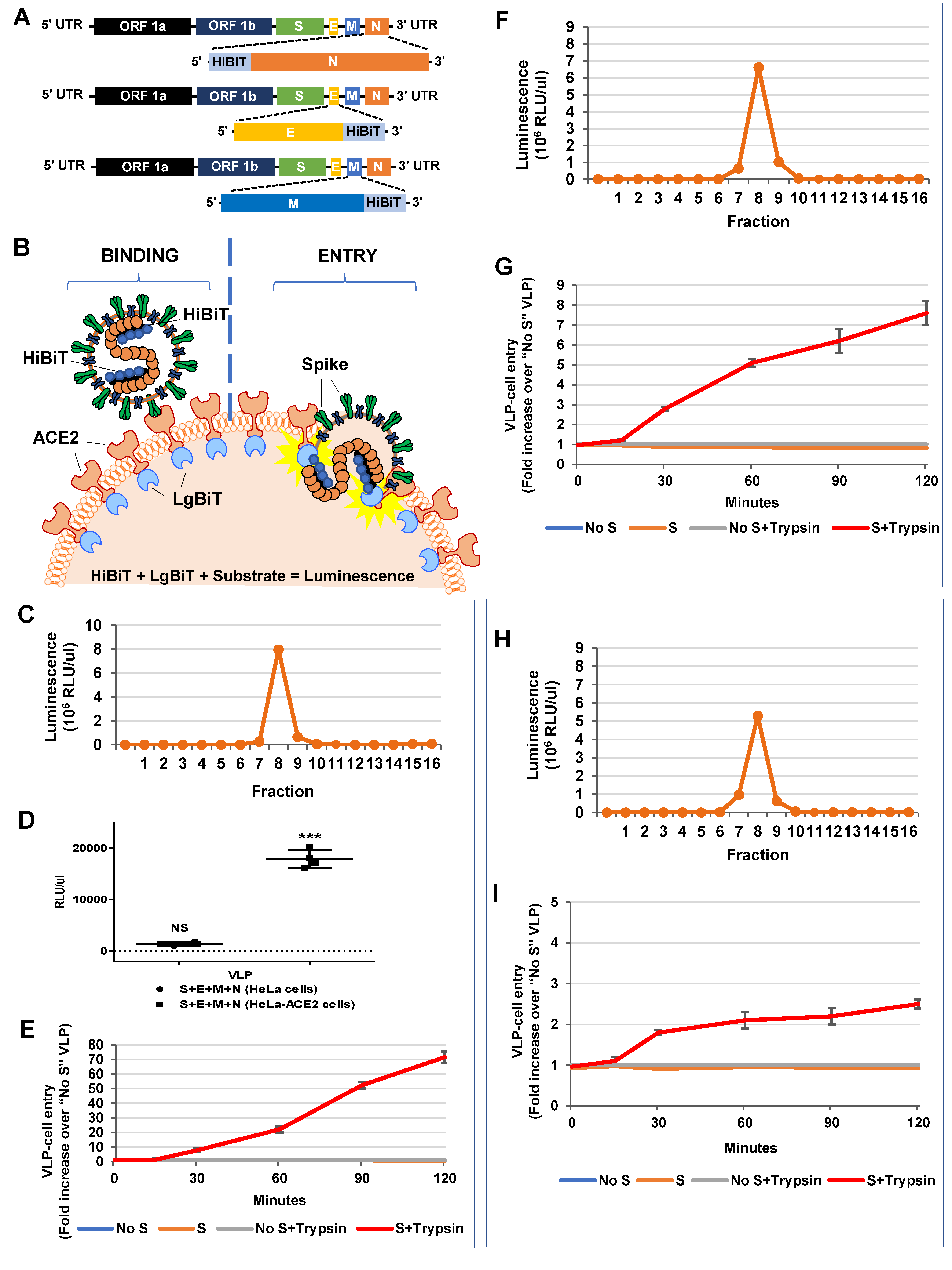 Cells 10 00853 g006 Cells 10 00853 g006
