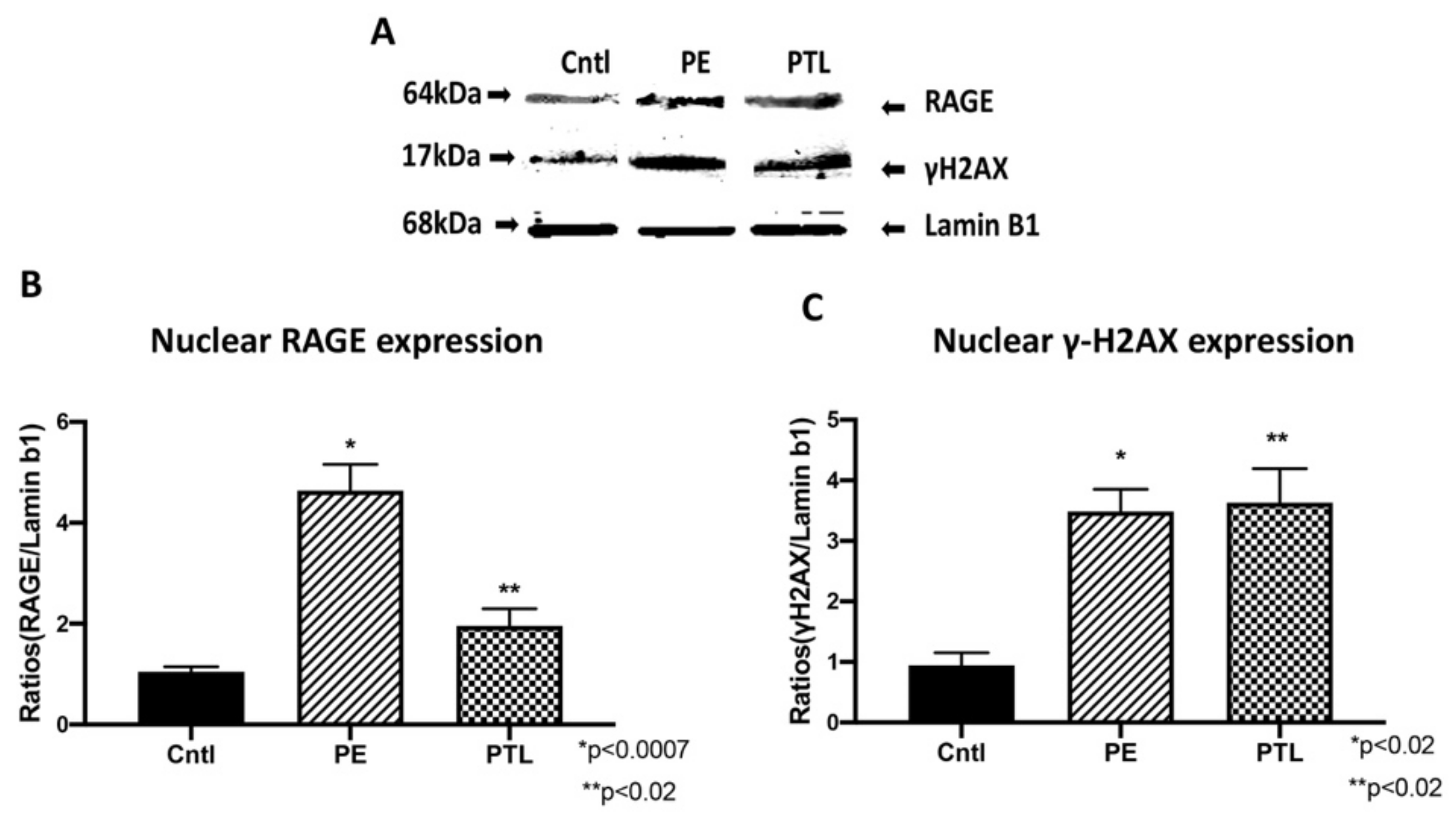 Cells 10 00857 g002 Cells 10 00857 g002