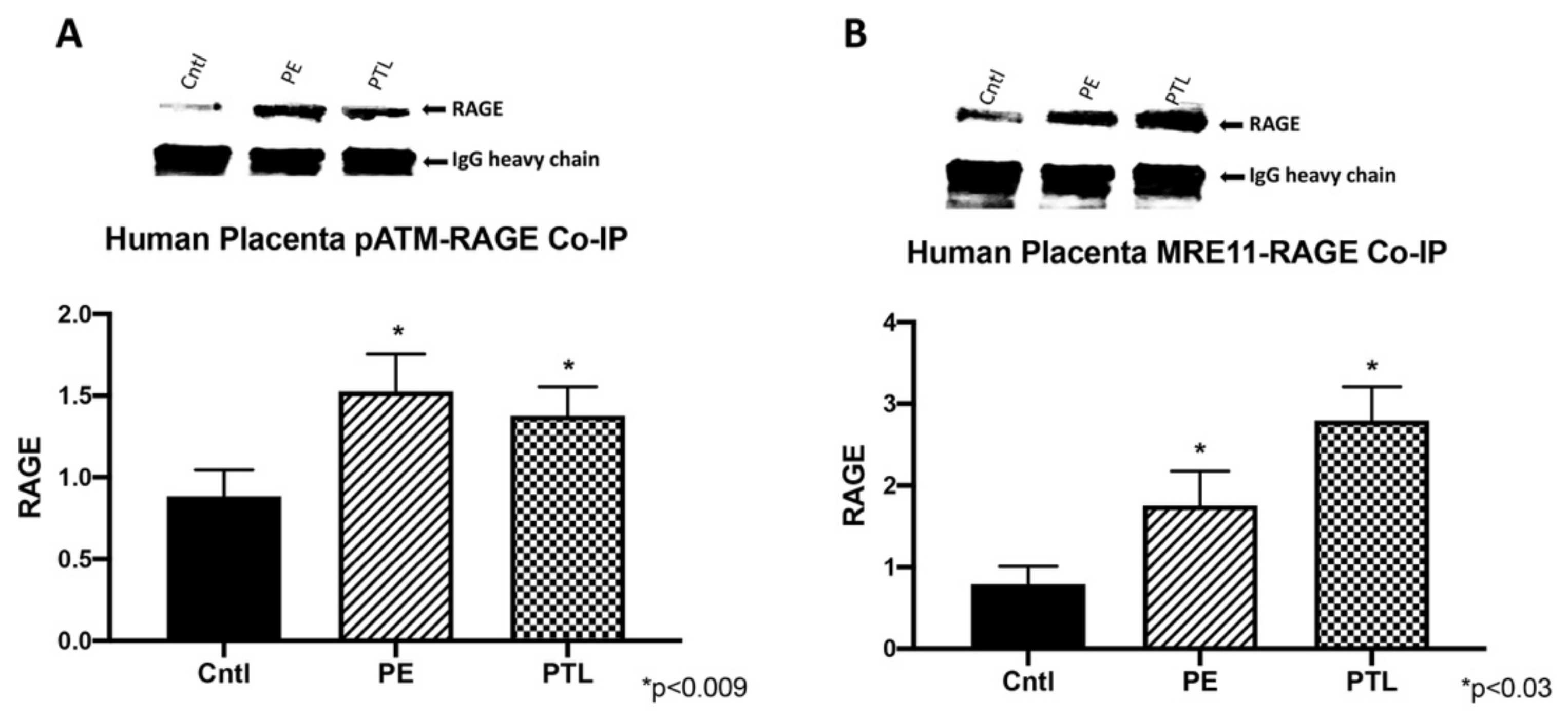 Cells 10 00857 g003 Cells 10 00857 g003