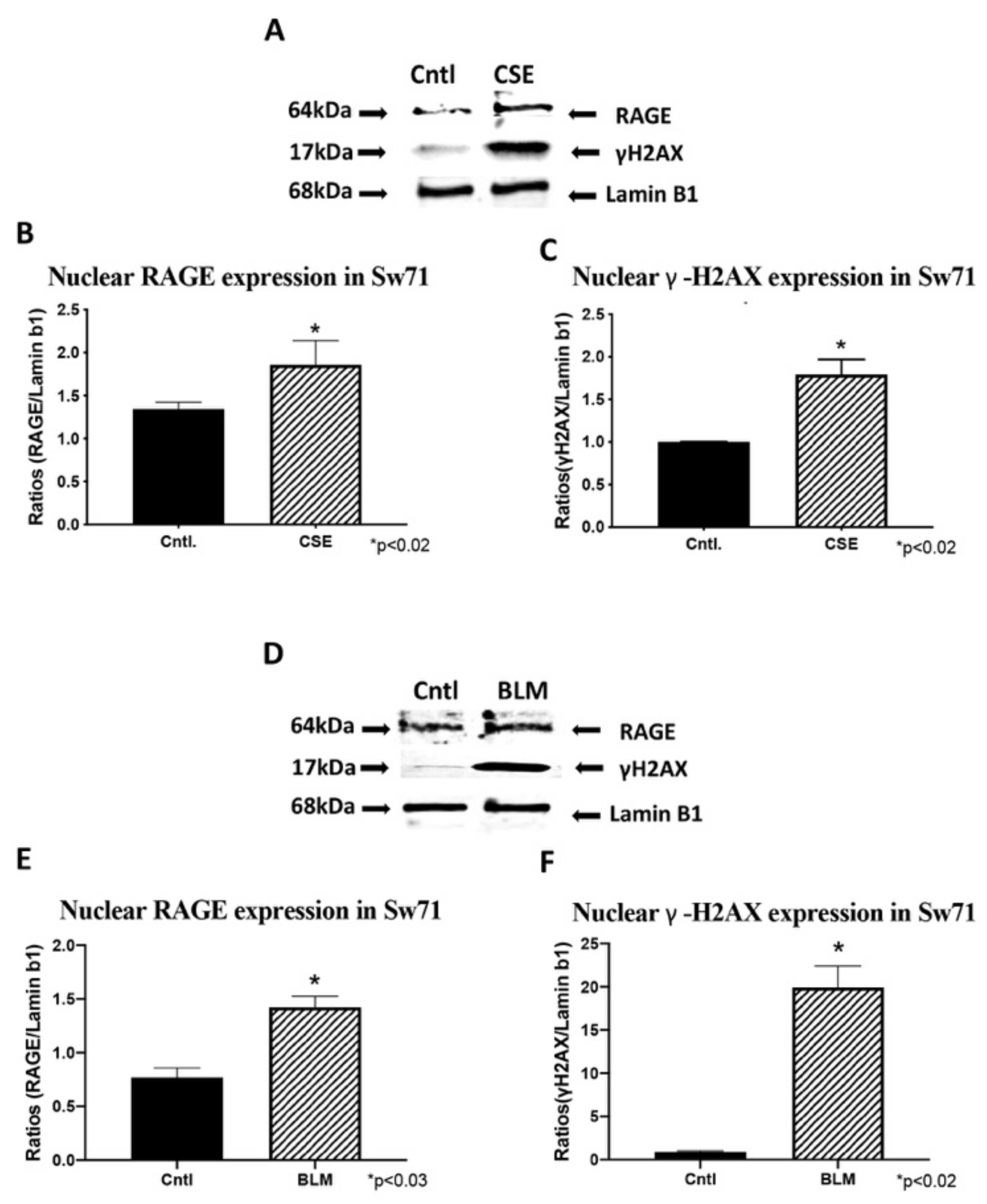 Cells 10 00857 g006 Cells 10 00857 g006