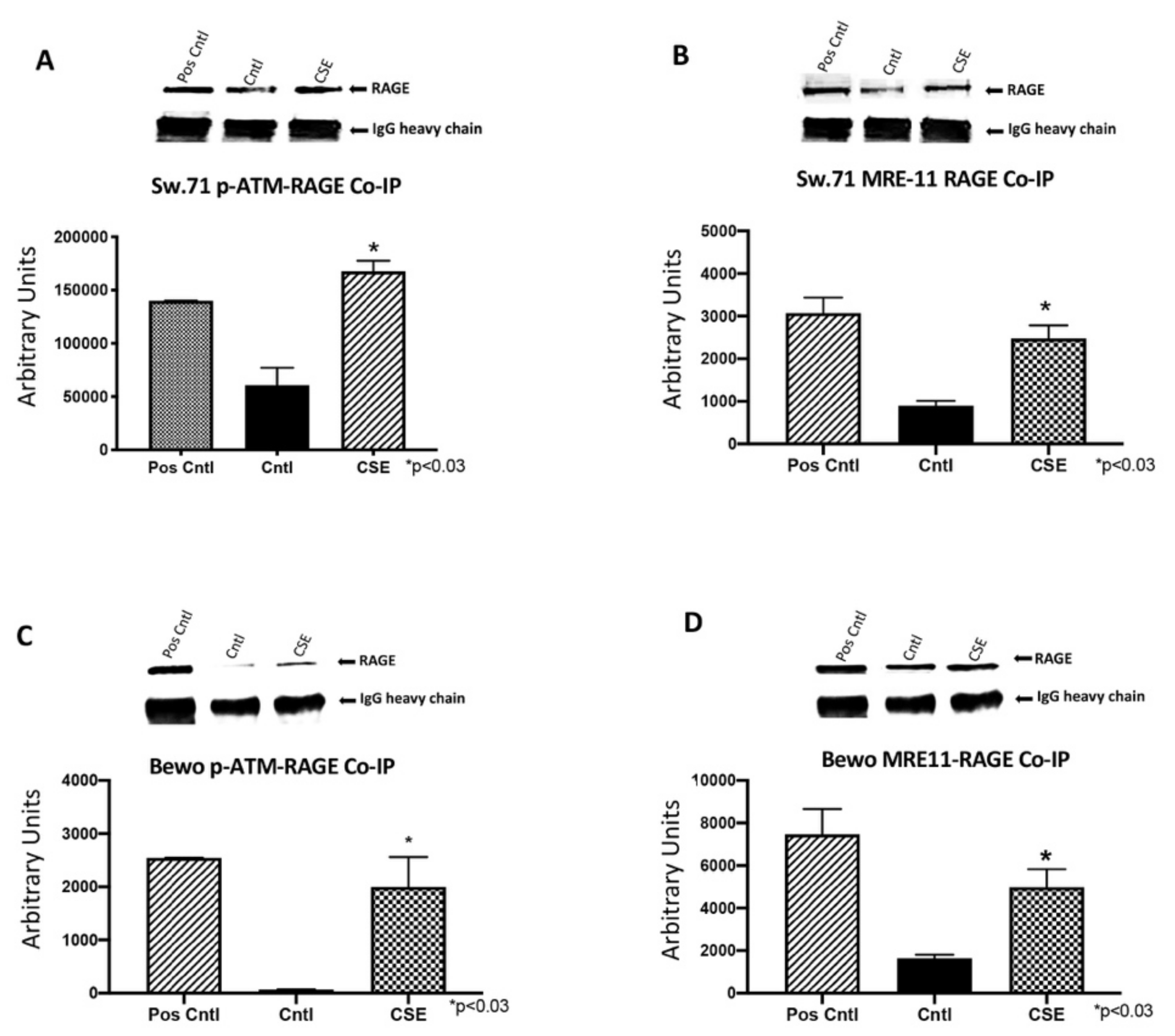 Cells 10 00857 g008 Cells 10 00857 g008
