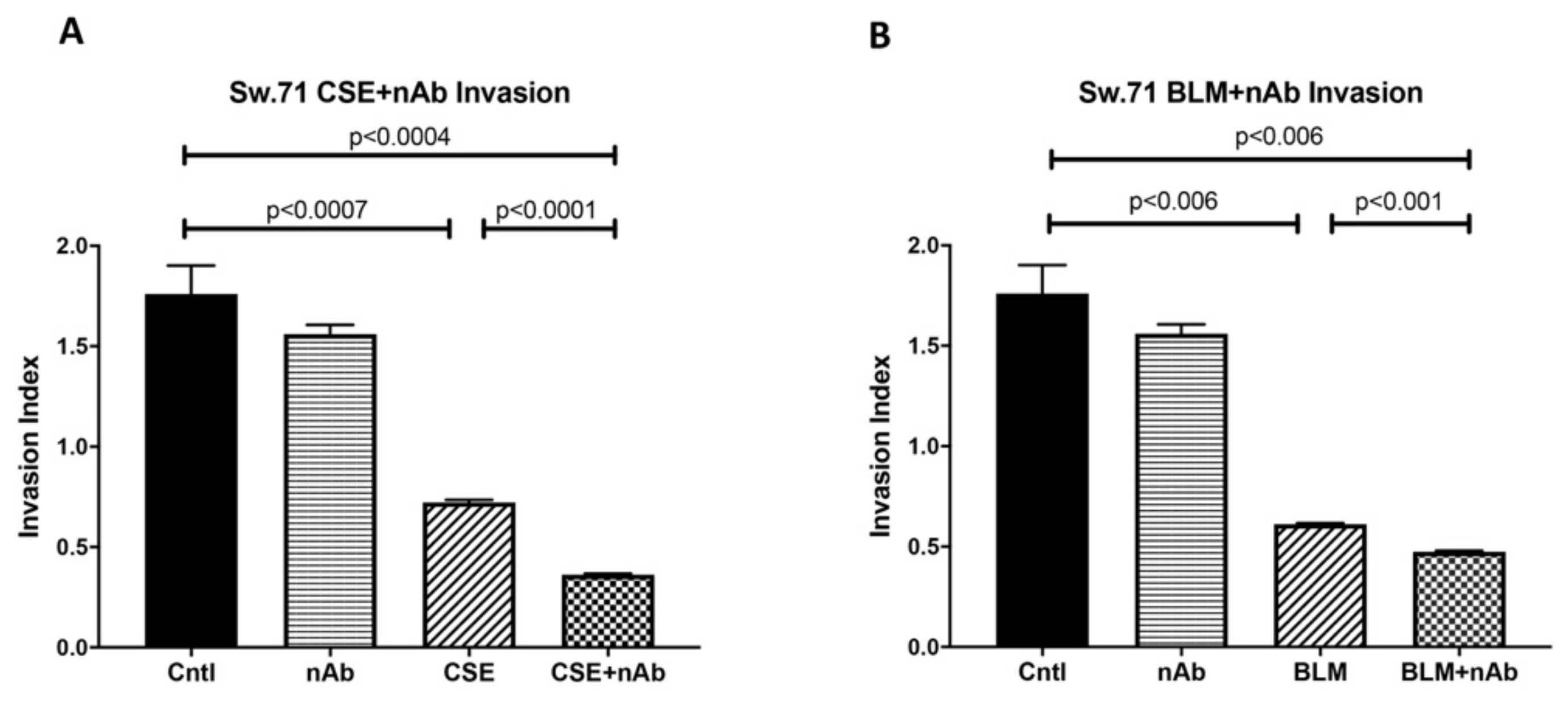 Cells 10 00857 g009 Cells 10 00857 g009