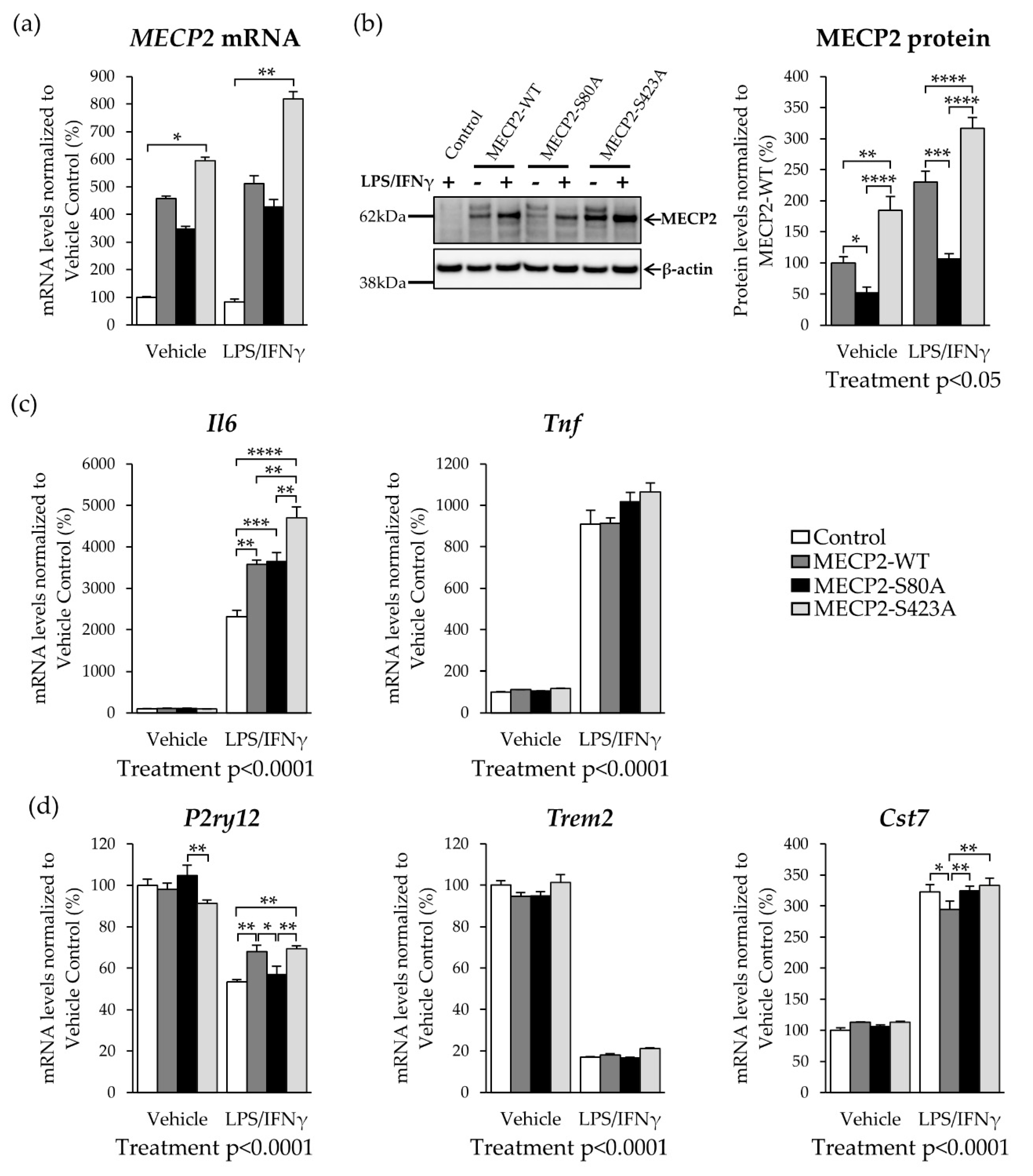 Cells 10 00860 g003 Cells 10 00860 g003