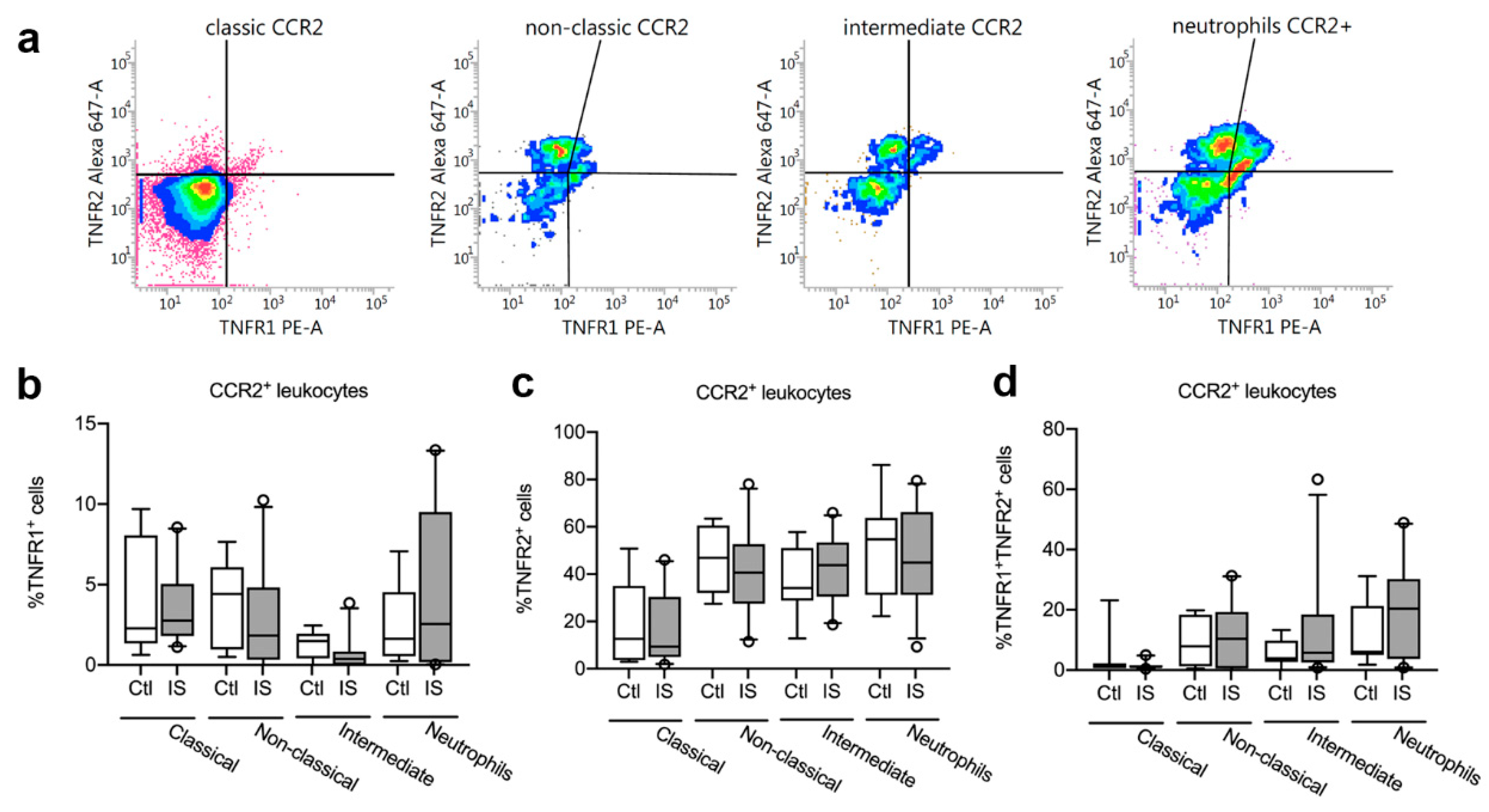 Cells 10 00861 g004 Cells 10 00861 g004