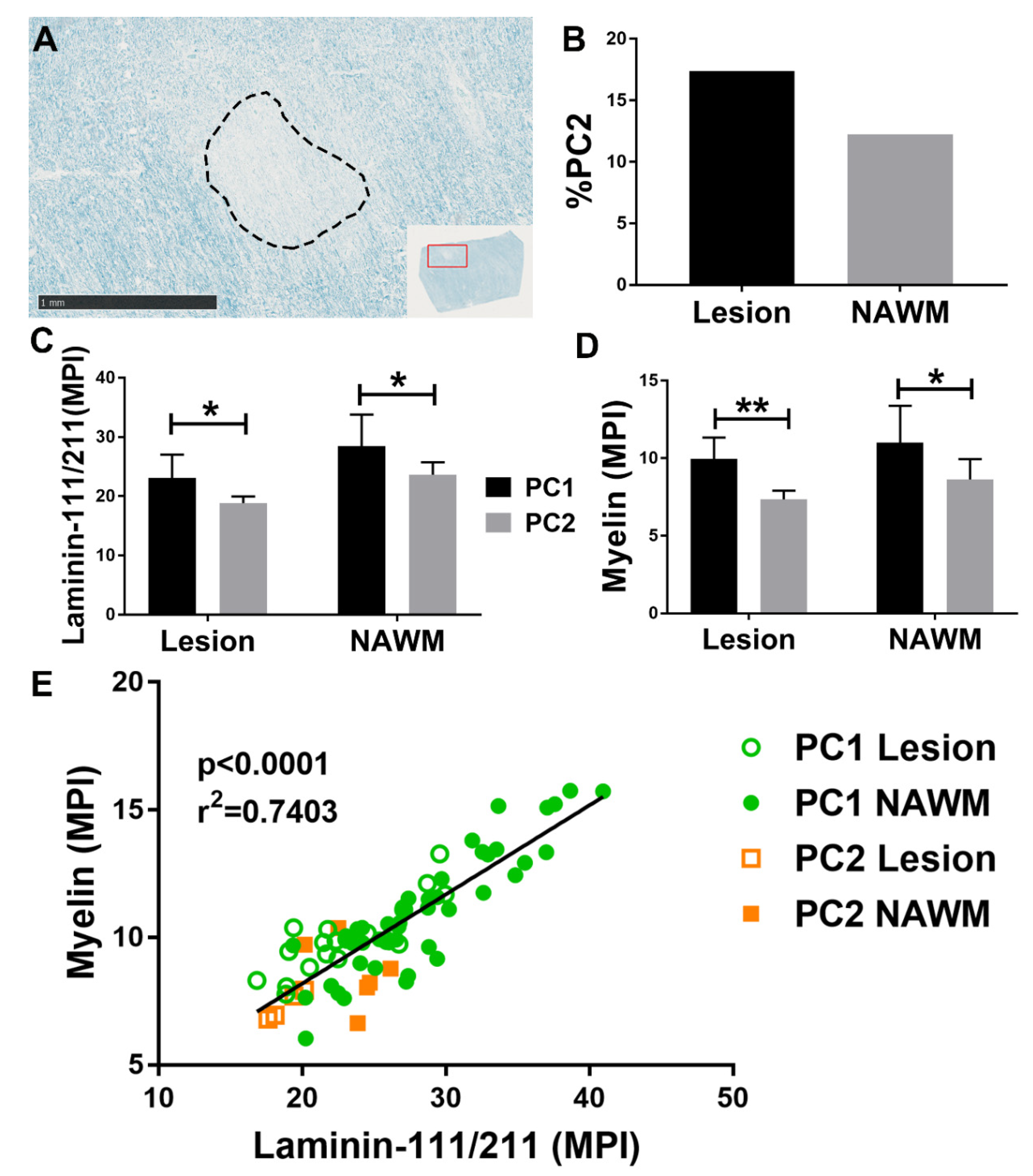 Cells 10 00890 g001 Cells 10 00890 g001