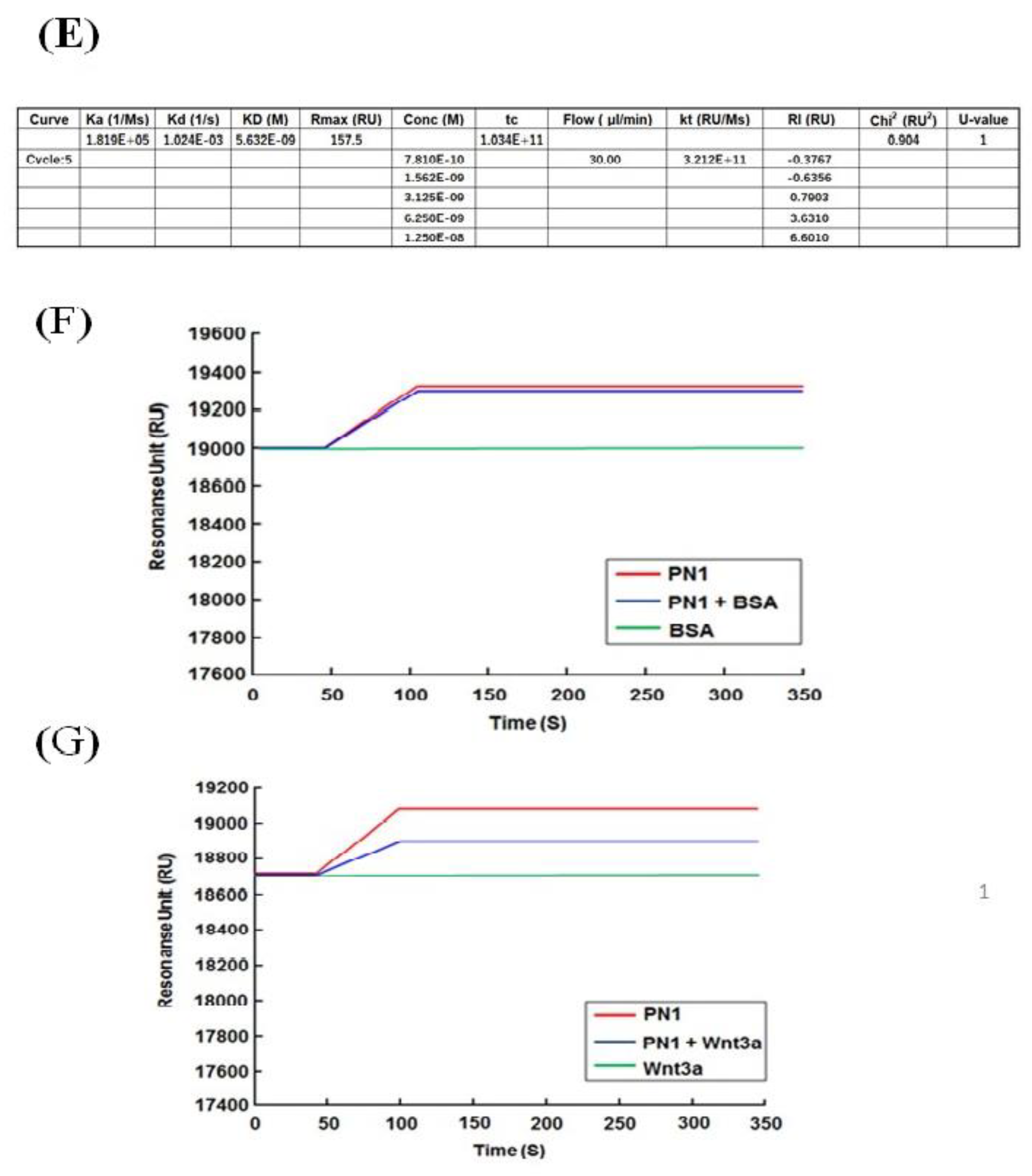 Cells 10 00892 g004b