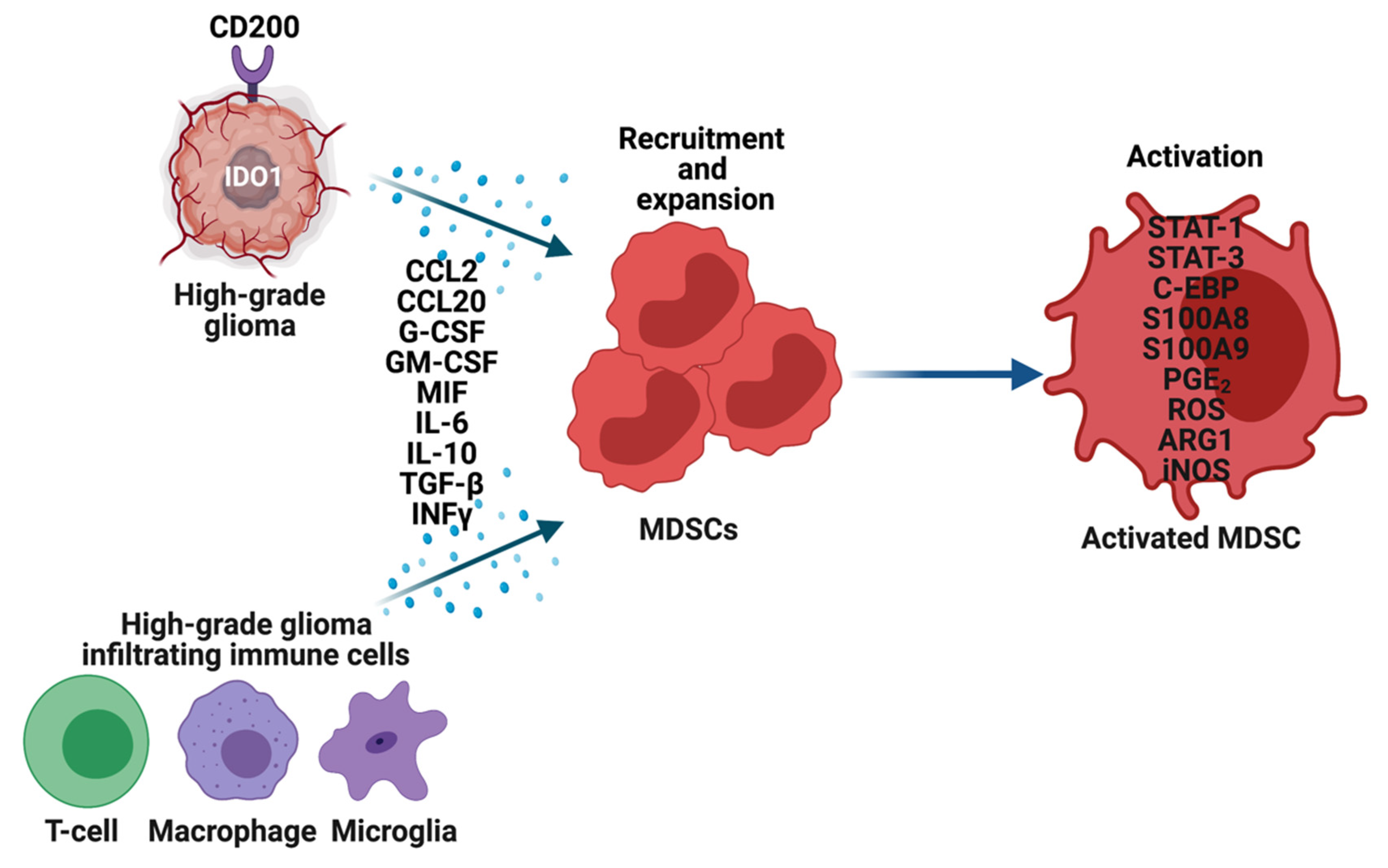 Cells 10 00893 g002 Cells 10 00893 g002