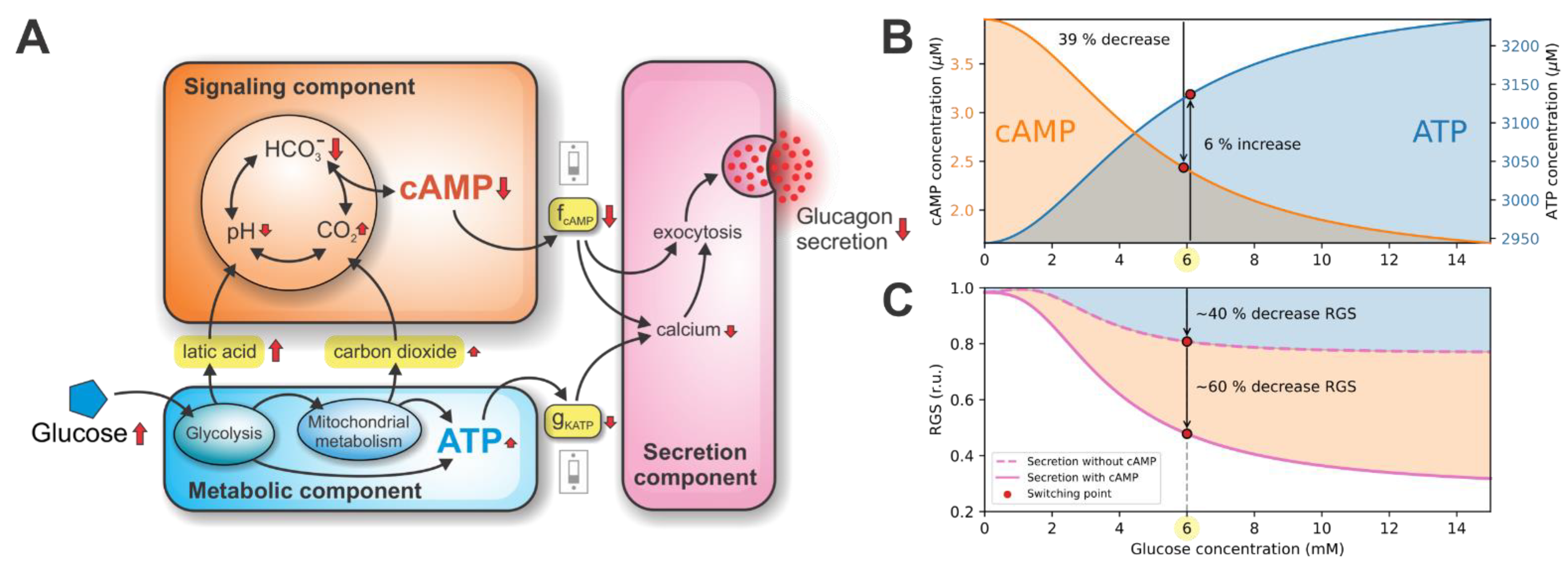 Cells 10 00896 g002 Cells 10 00896 g002