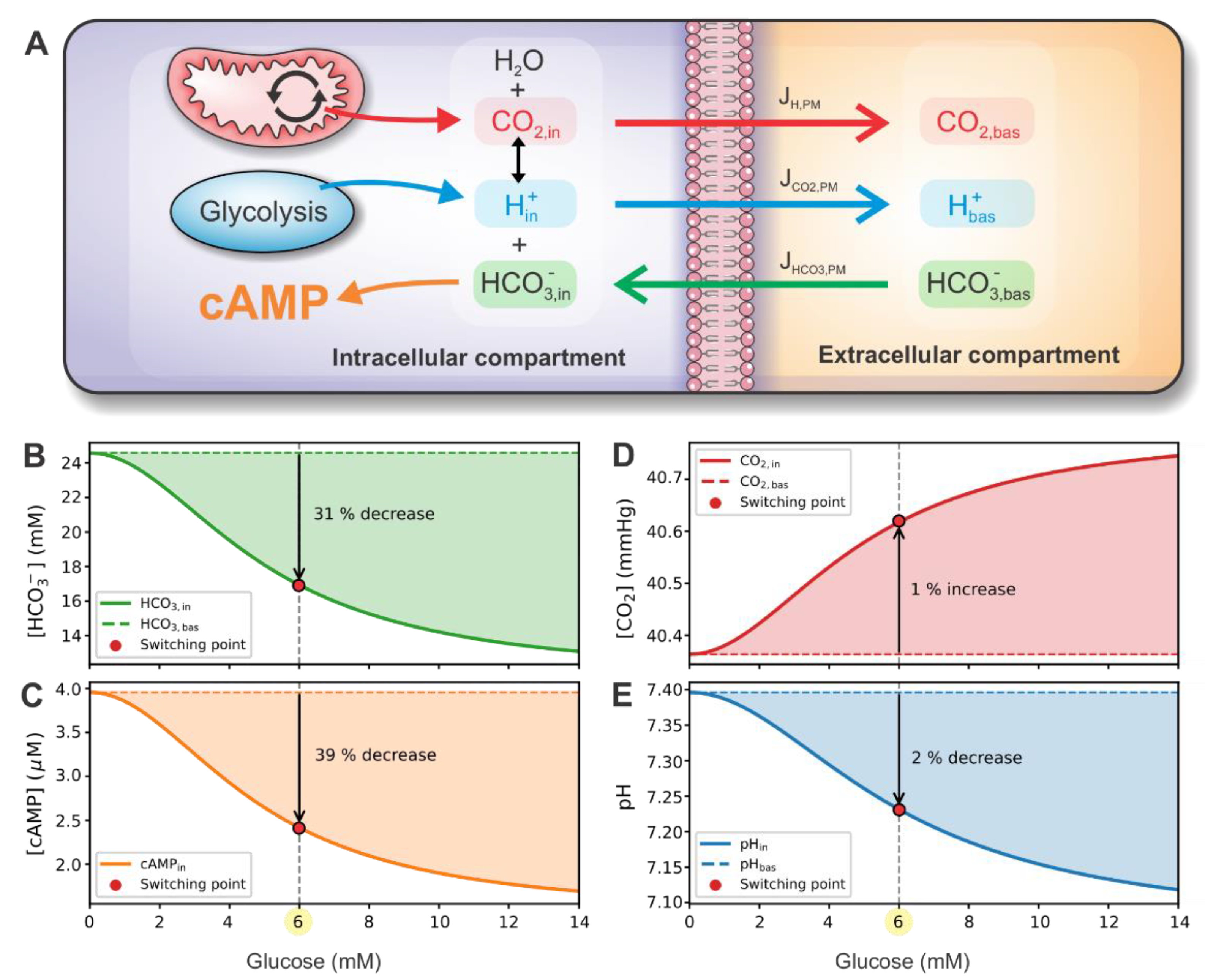 Cells 10 00896 g005 Cells 10 00896 g005