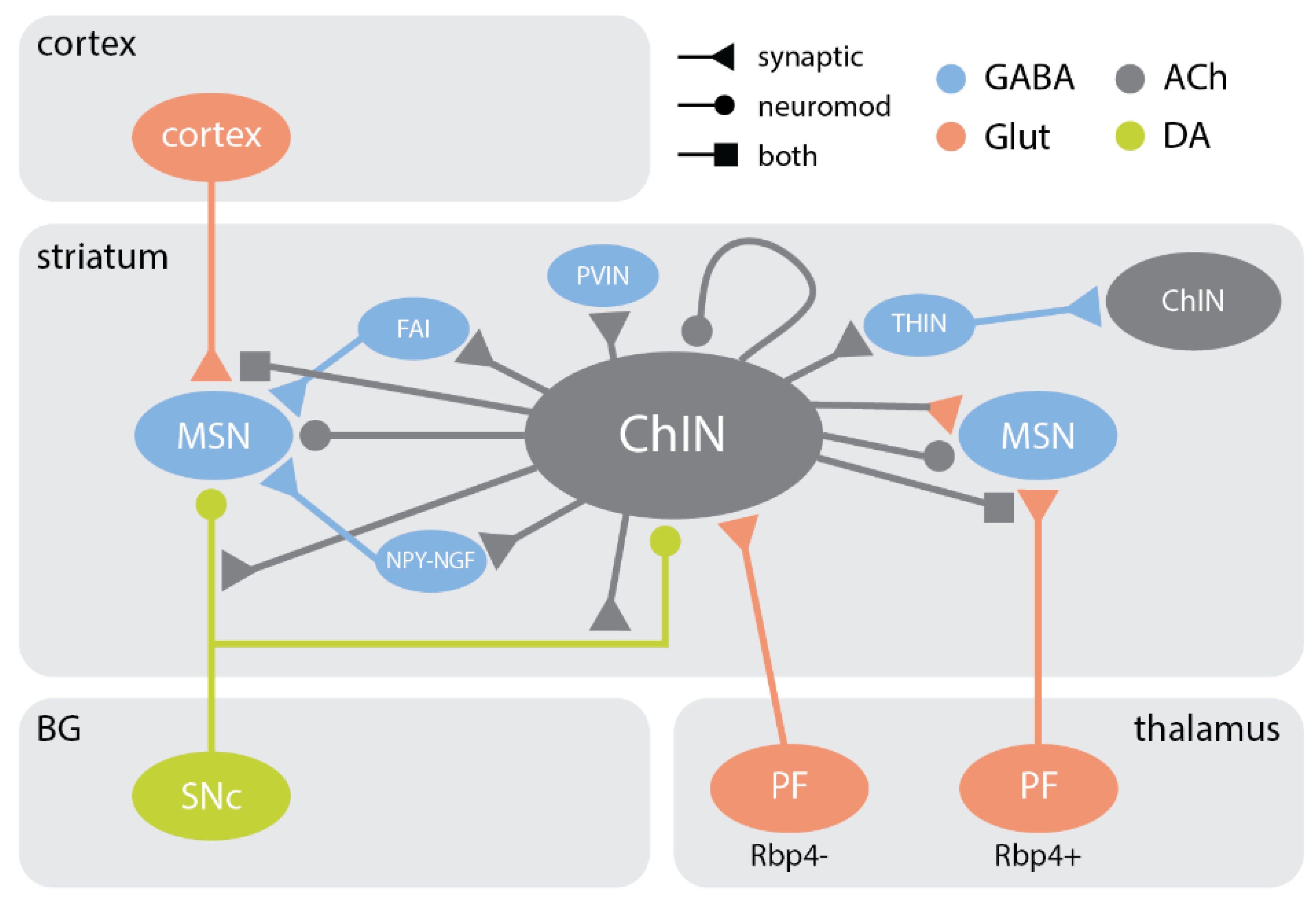 Cells 10 00907 g003 Cells 10 00907 g003