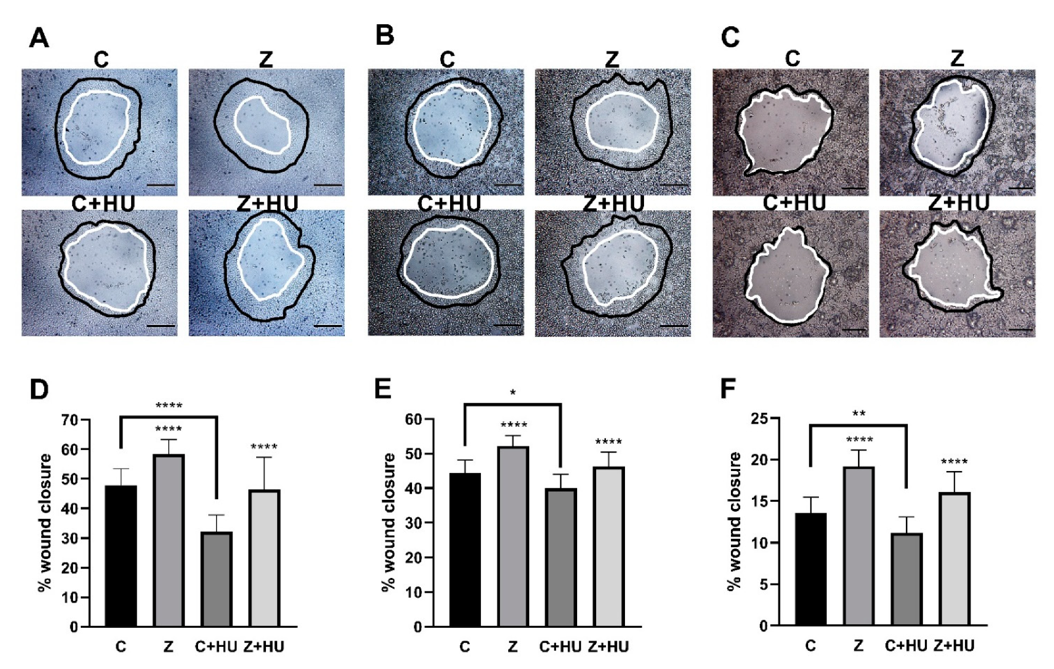 Cells 10 00908 g002 Cells 10 00908 g002