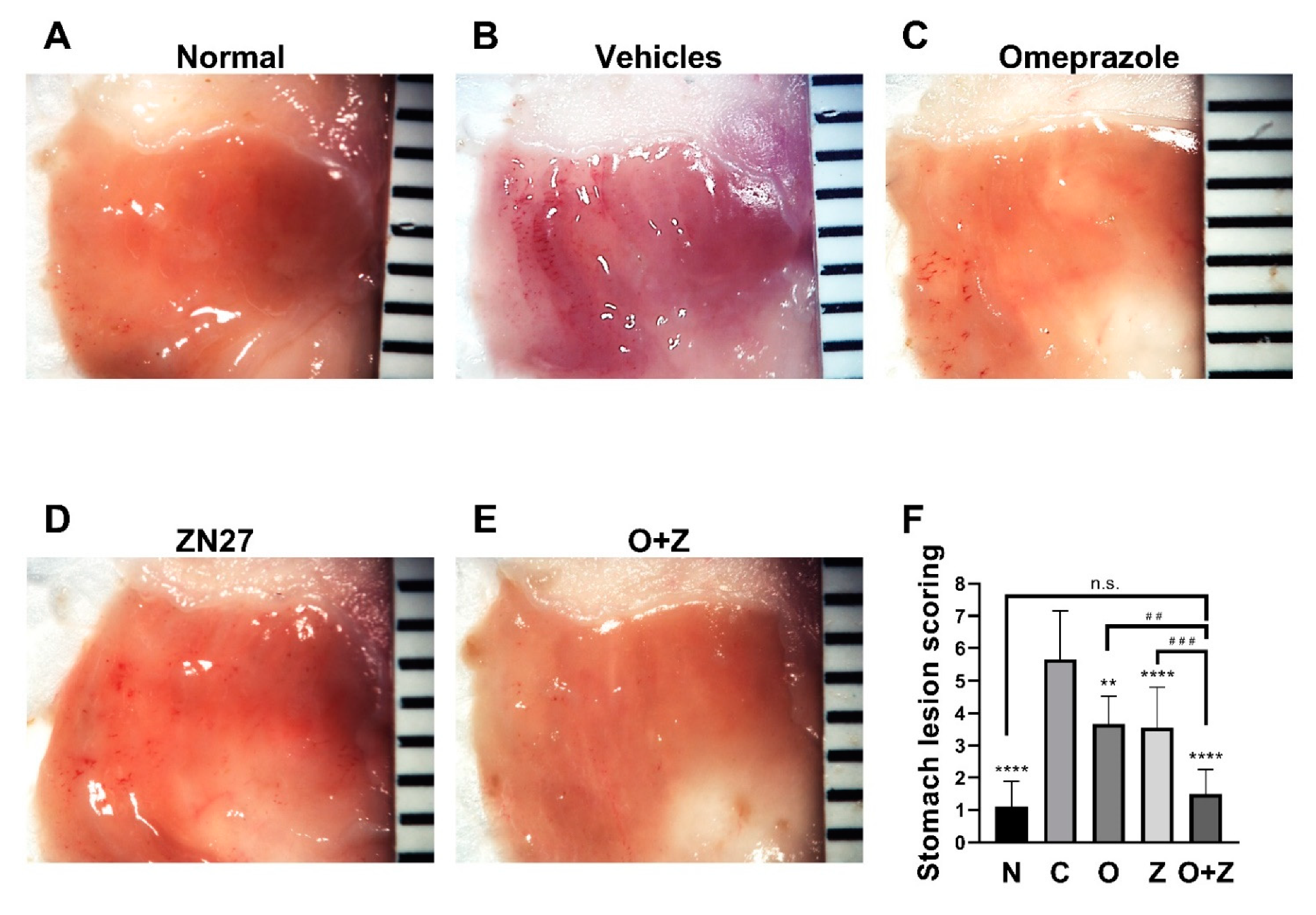 Cells 10 00908 g003 Cells 10 00908 g003