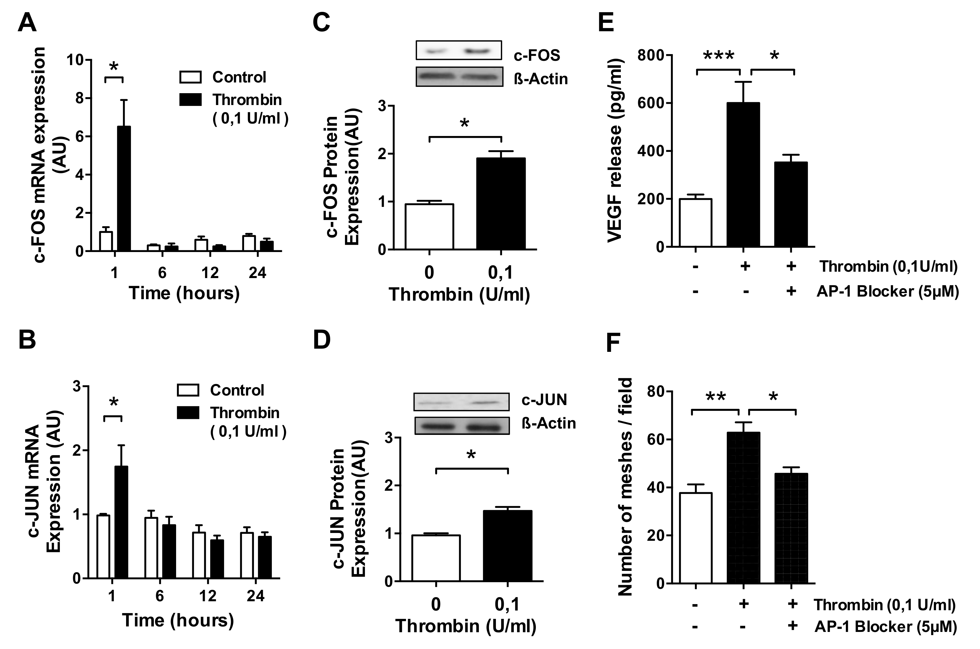 Cells 10 00910 g004 Cells 10 00910 g004