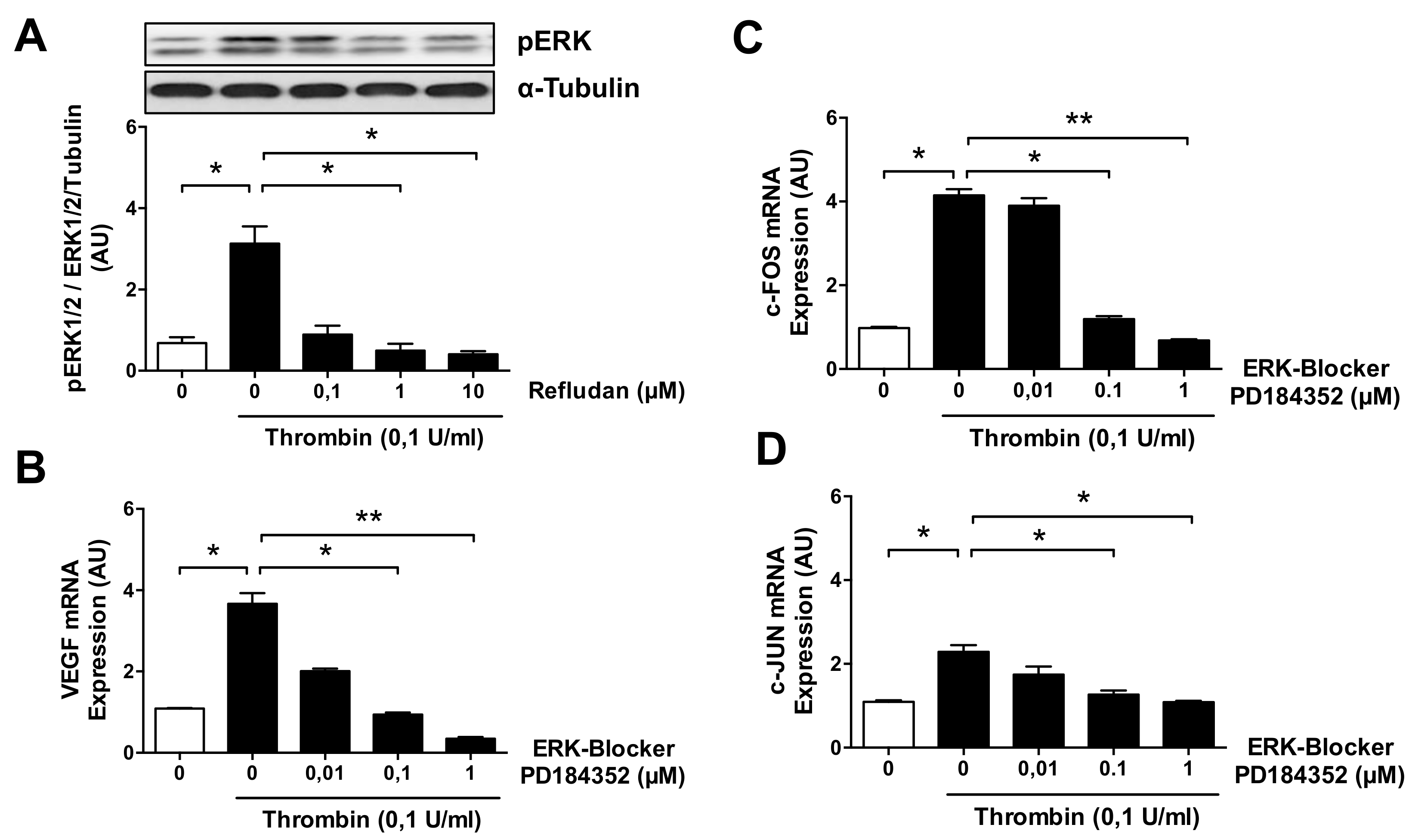 Cells 10 00910 g005 Cells 10 00910 g005
