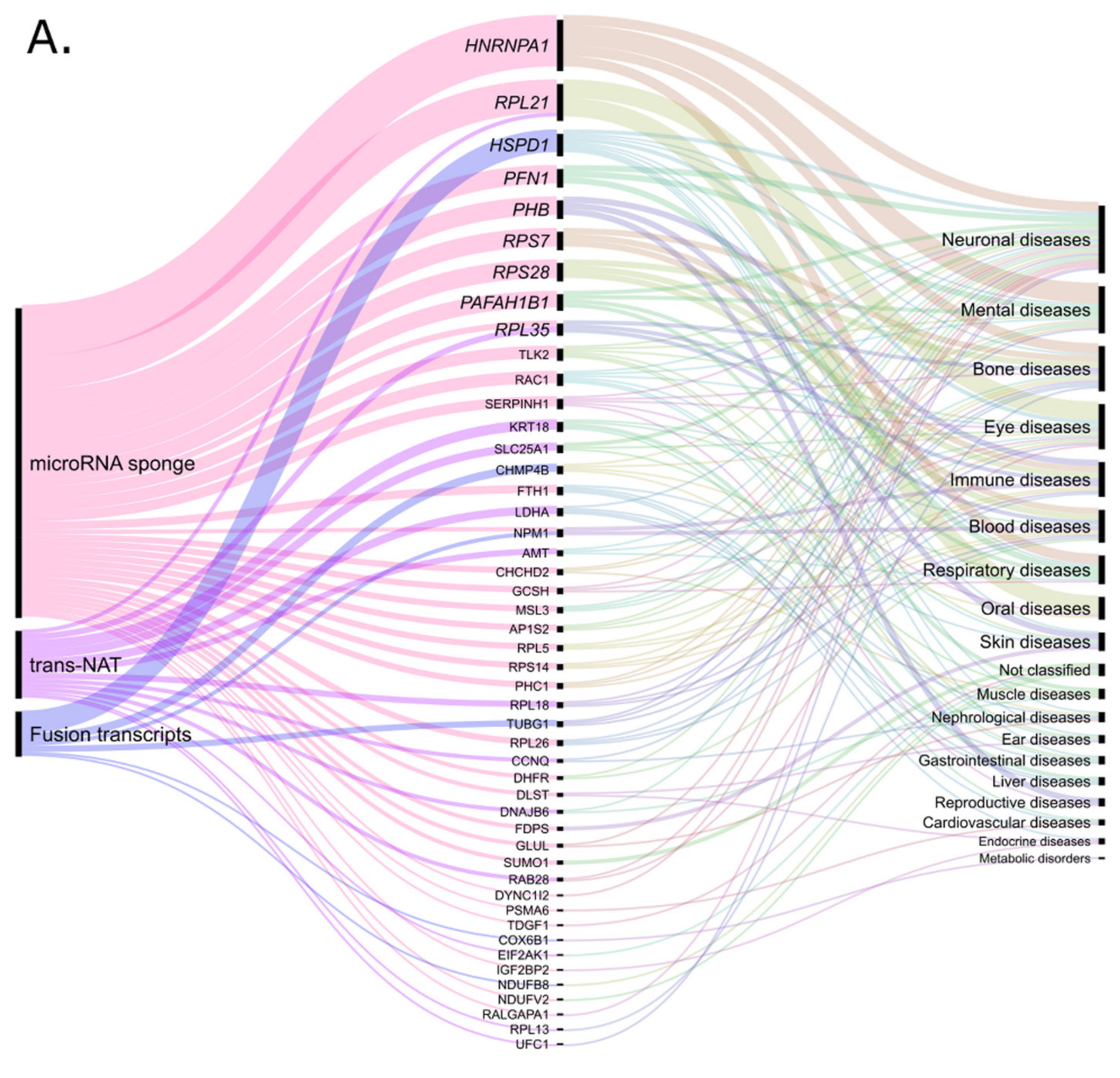 Cells 10 00912 g003a