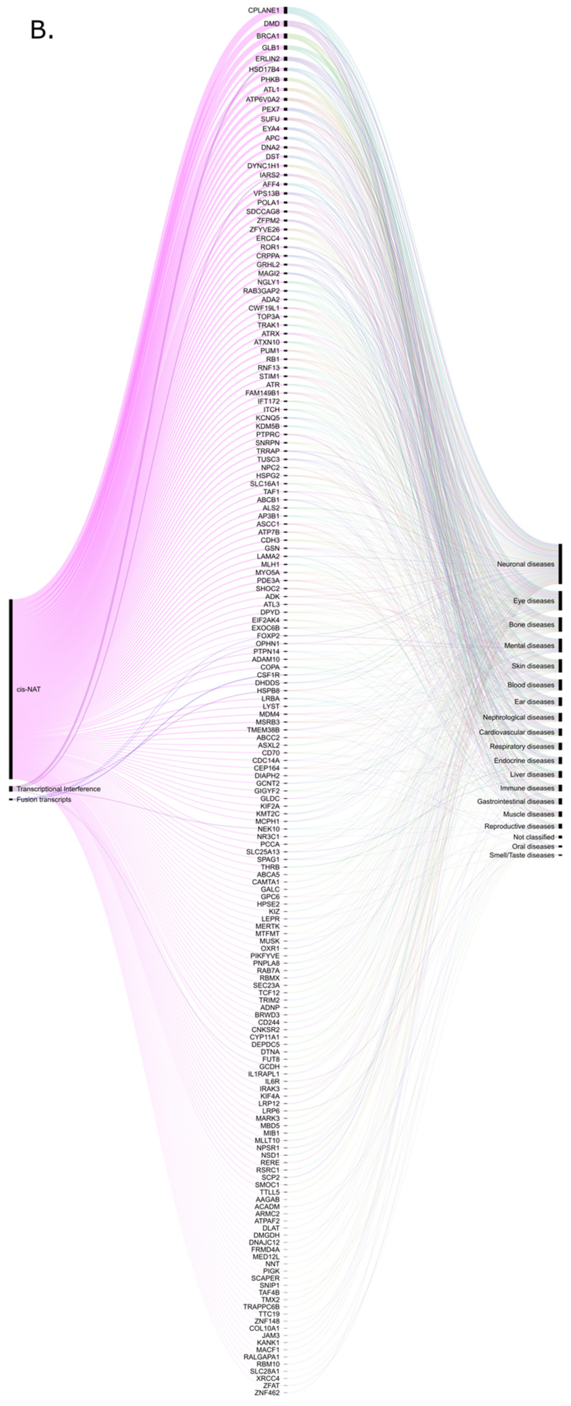 Cells 10 00912 g003b