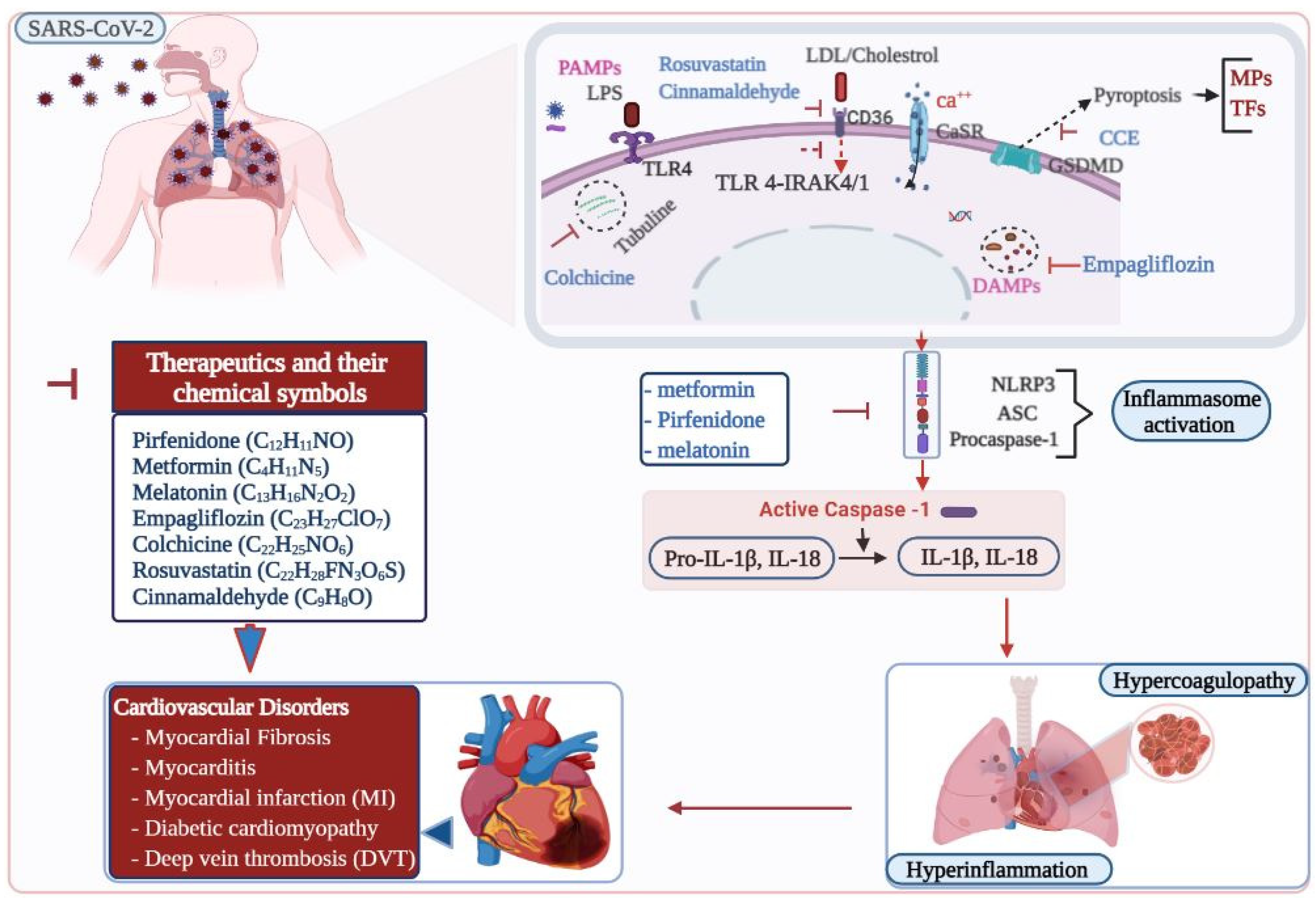 Cells 10 00916 g002 Cells 10 00916 g002