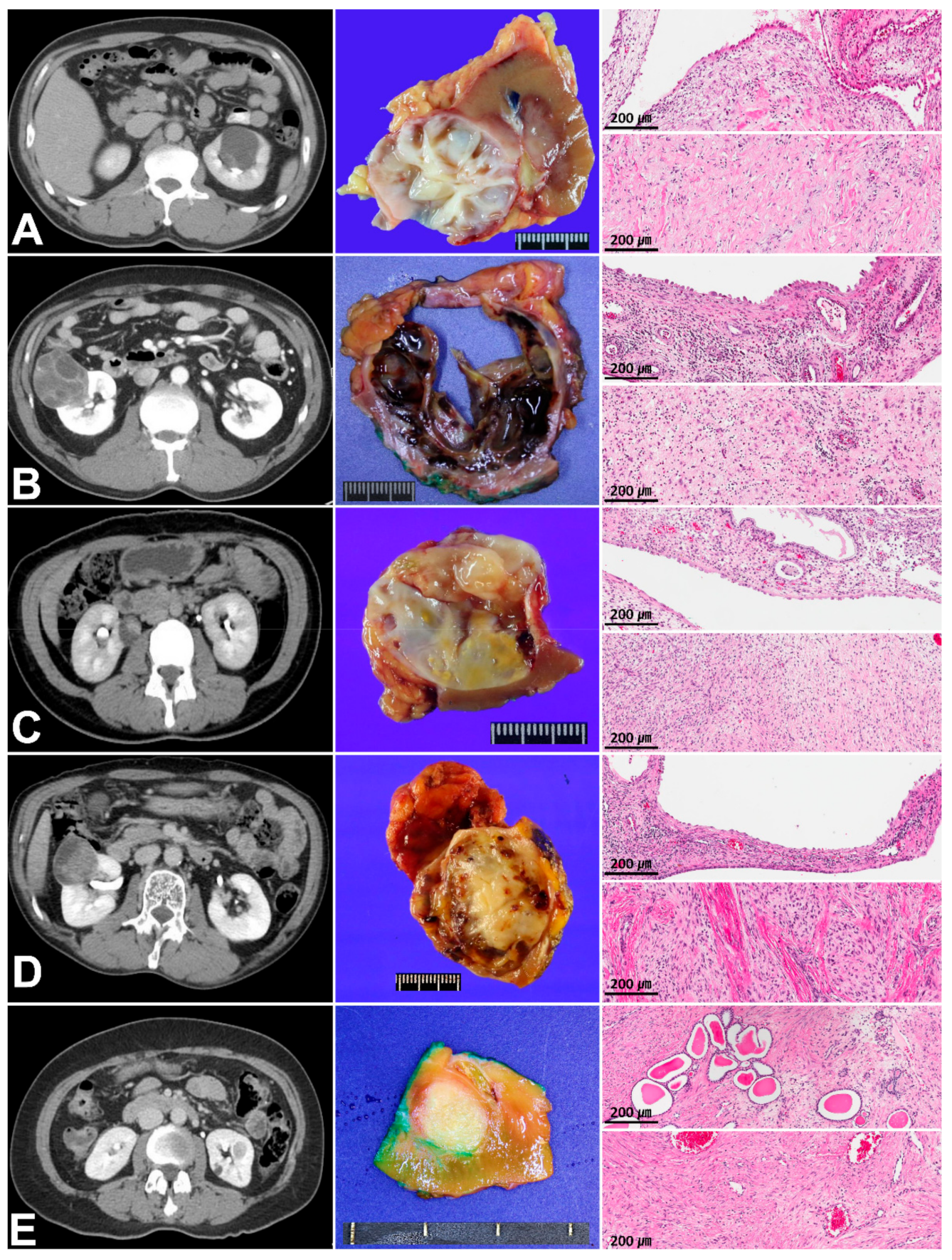 Cells 10 00917 g001 Cells 10 00917 g001