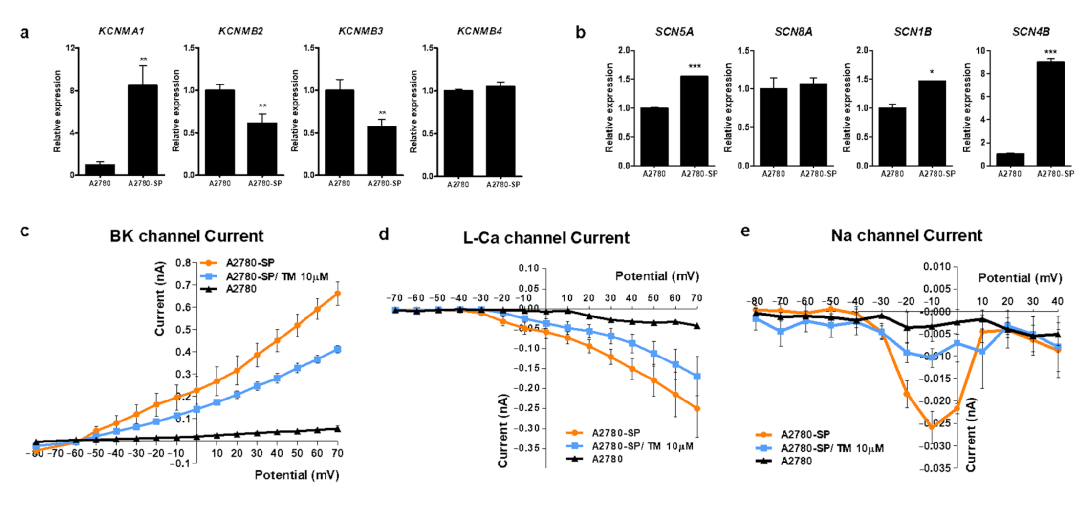 Cells 10 00918 g002 Cells 10 00918 g002