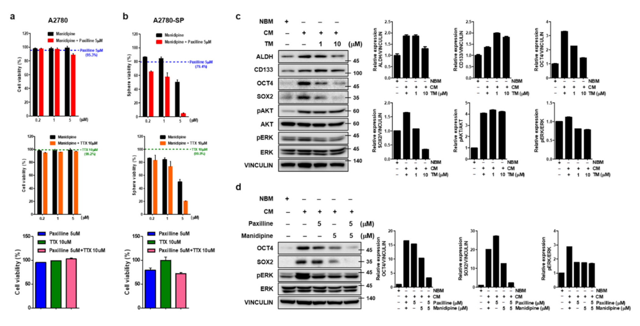 Cells 10 00918 g003 Cells 10 00918 g003