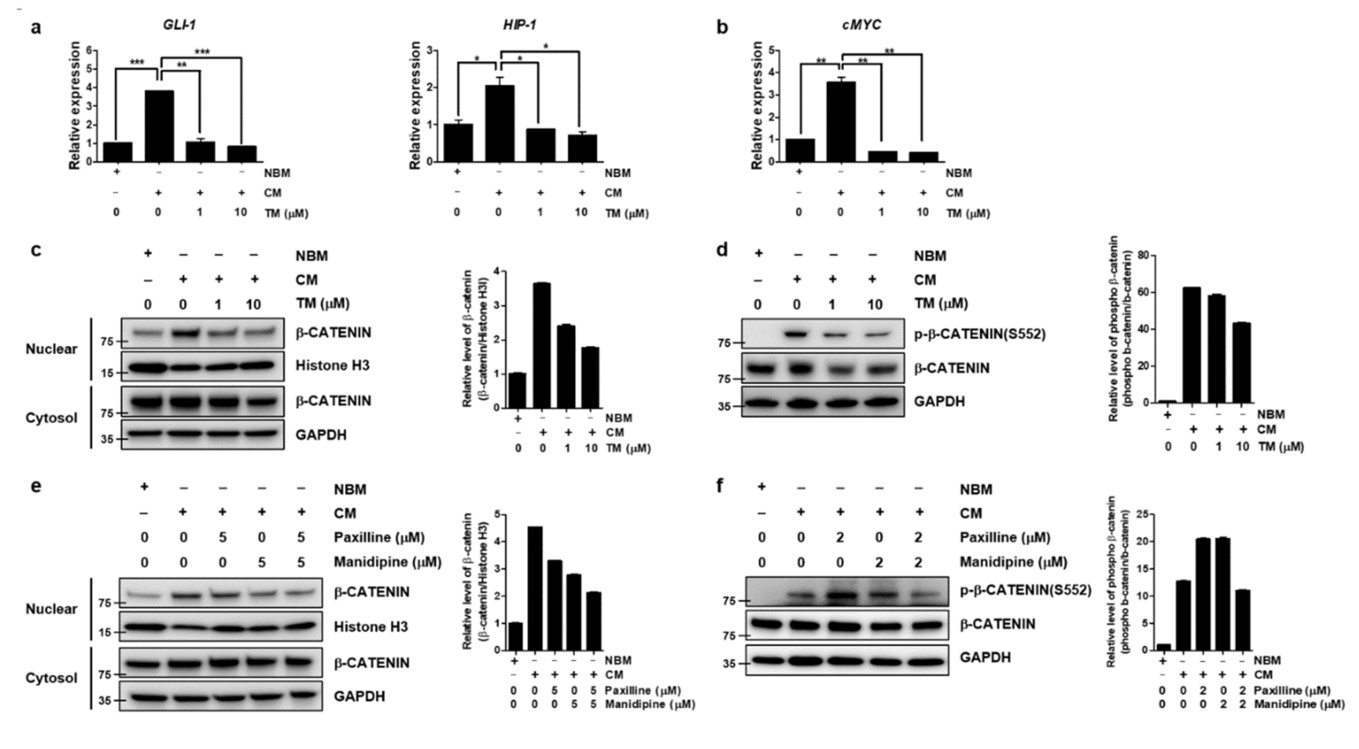 Cells 10 00918 g004 Cells 10 00918 g004