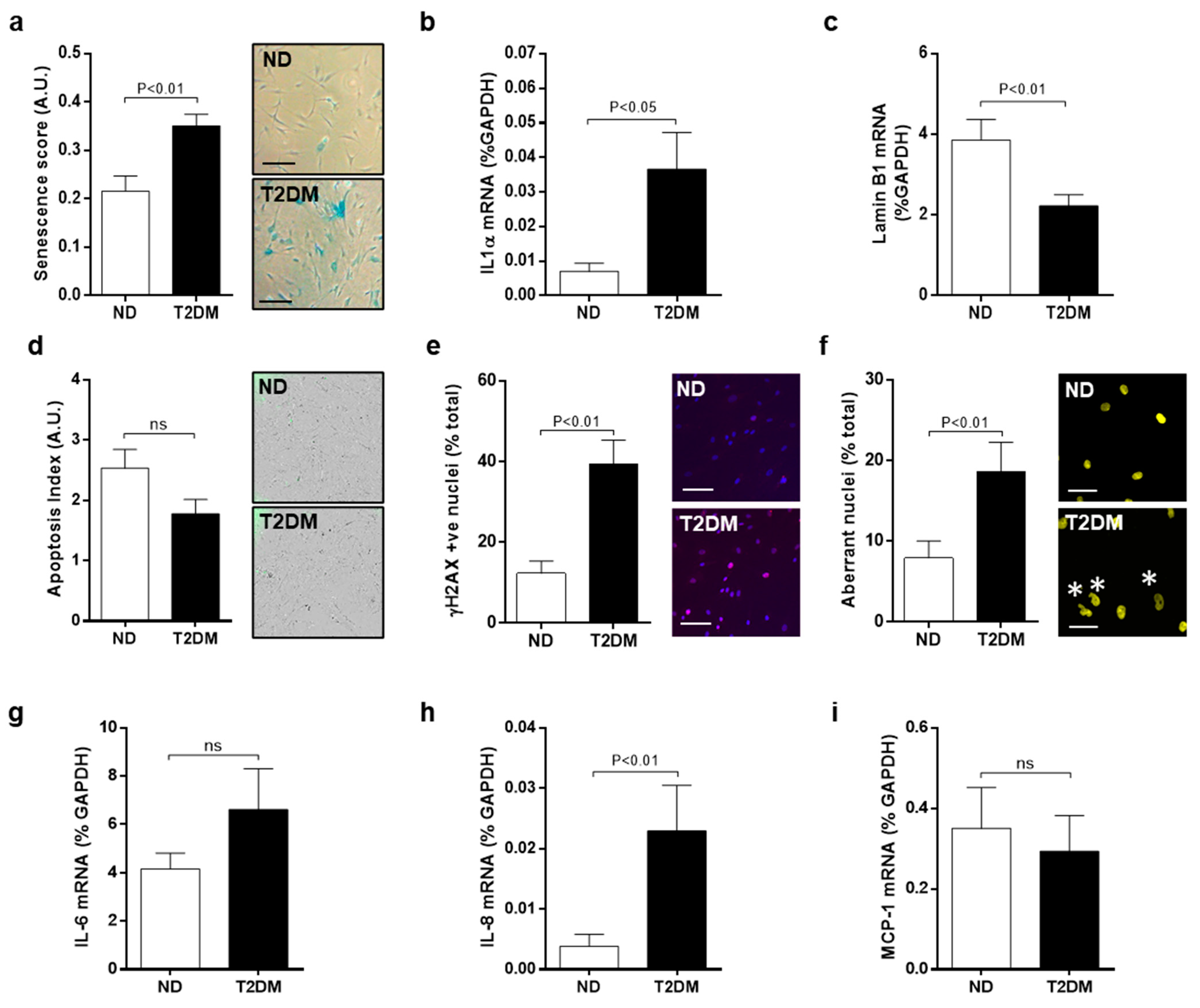 Cells 10 00919 g001 Cells 10 00919 g001