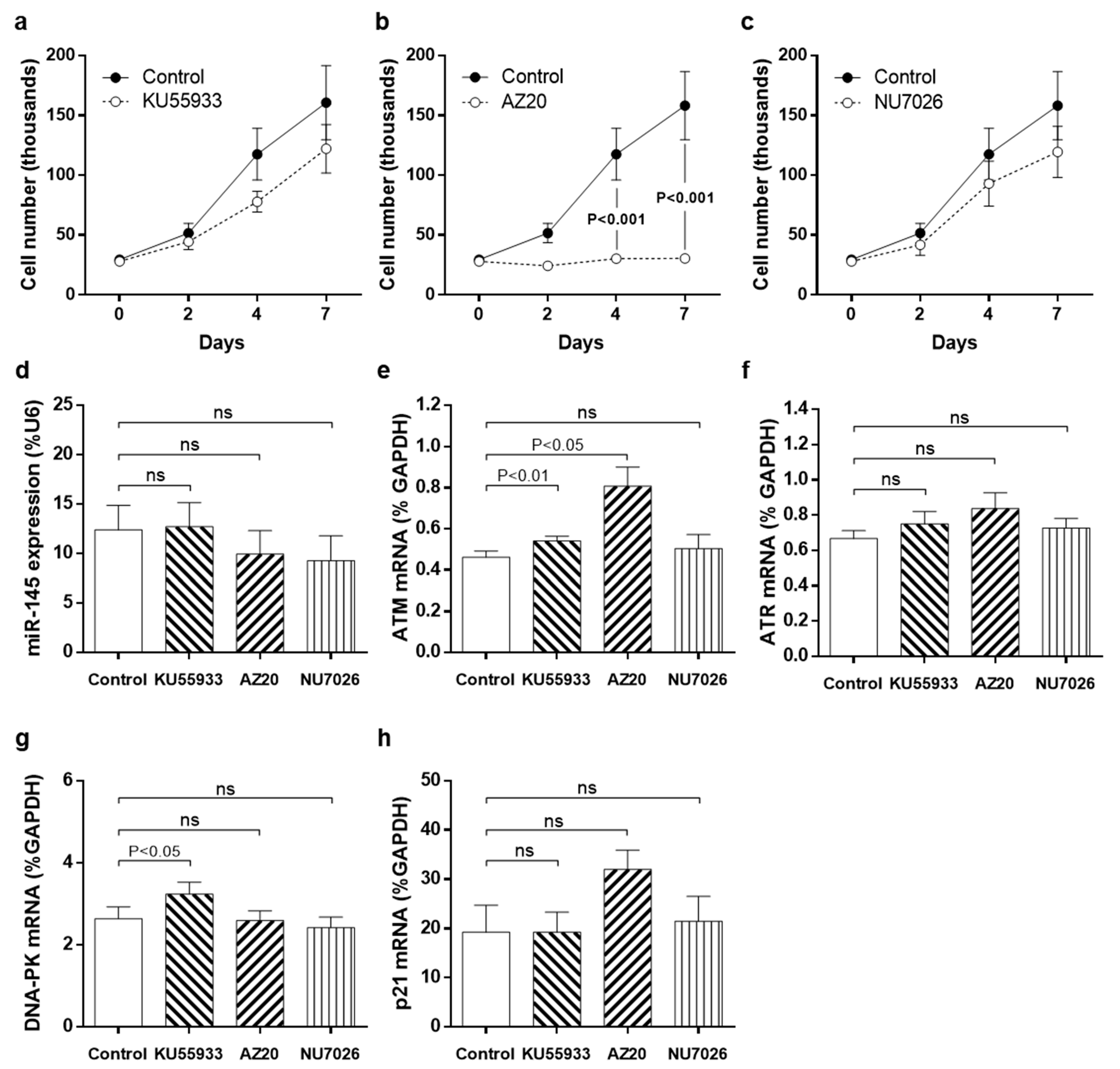 Cells 10 00919 g003 Cells 10 00919 g003