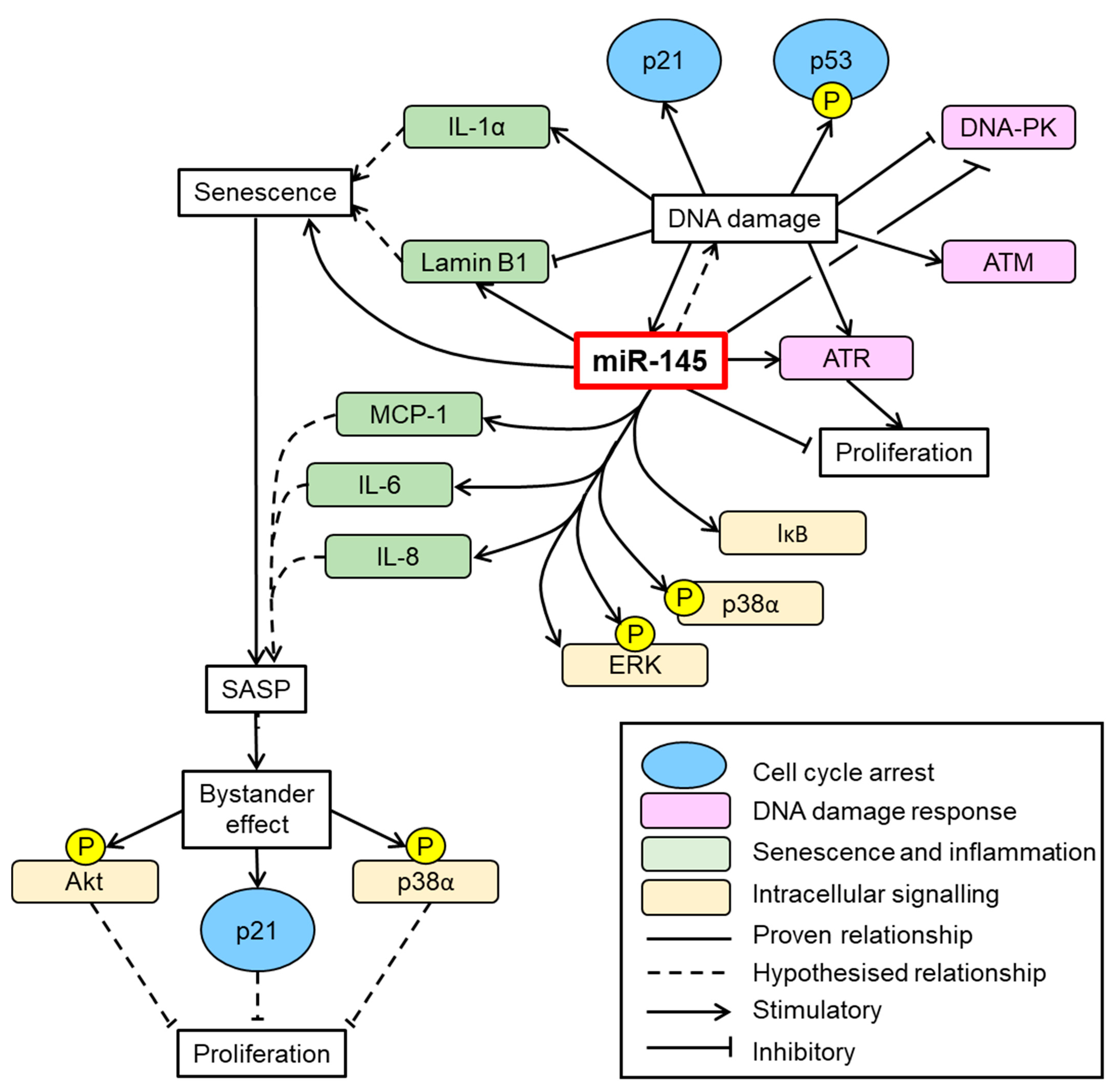 Cells 10 00919 g008 Cells 10 00919 g008