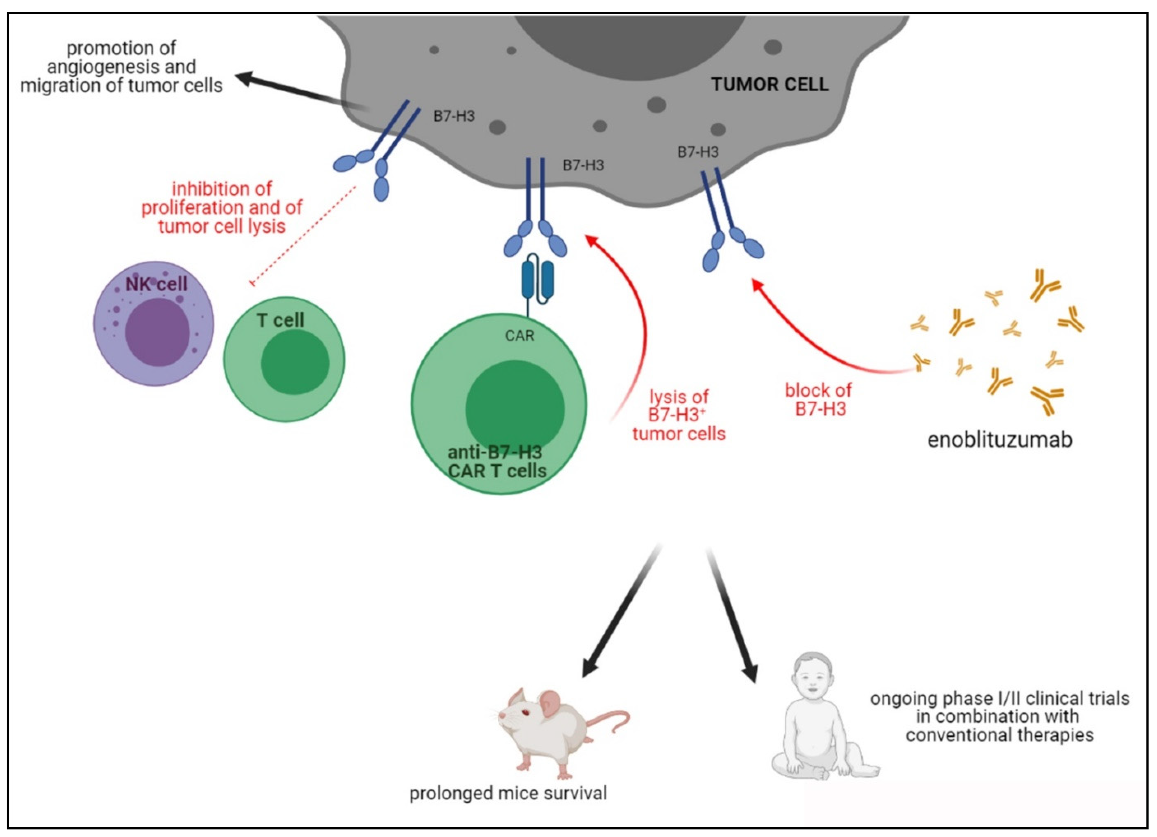 Cells 10 00927 g003 Cells 10 00927 g003