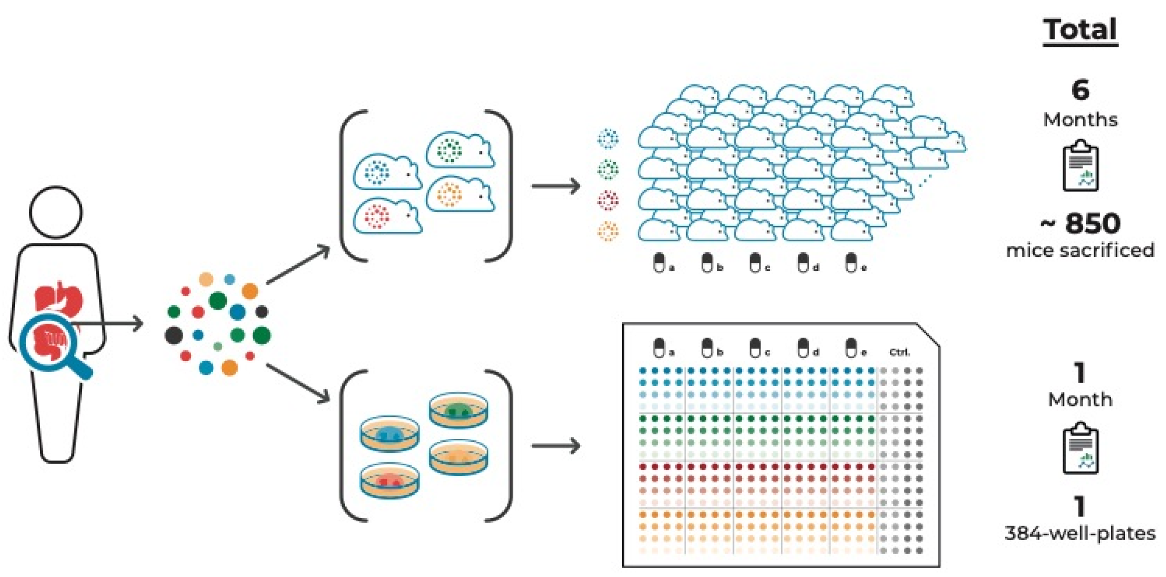 Cells 10 00928 g001 Cells 10 00928 g001