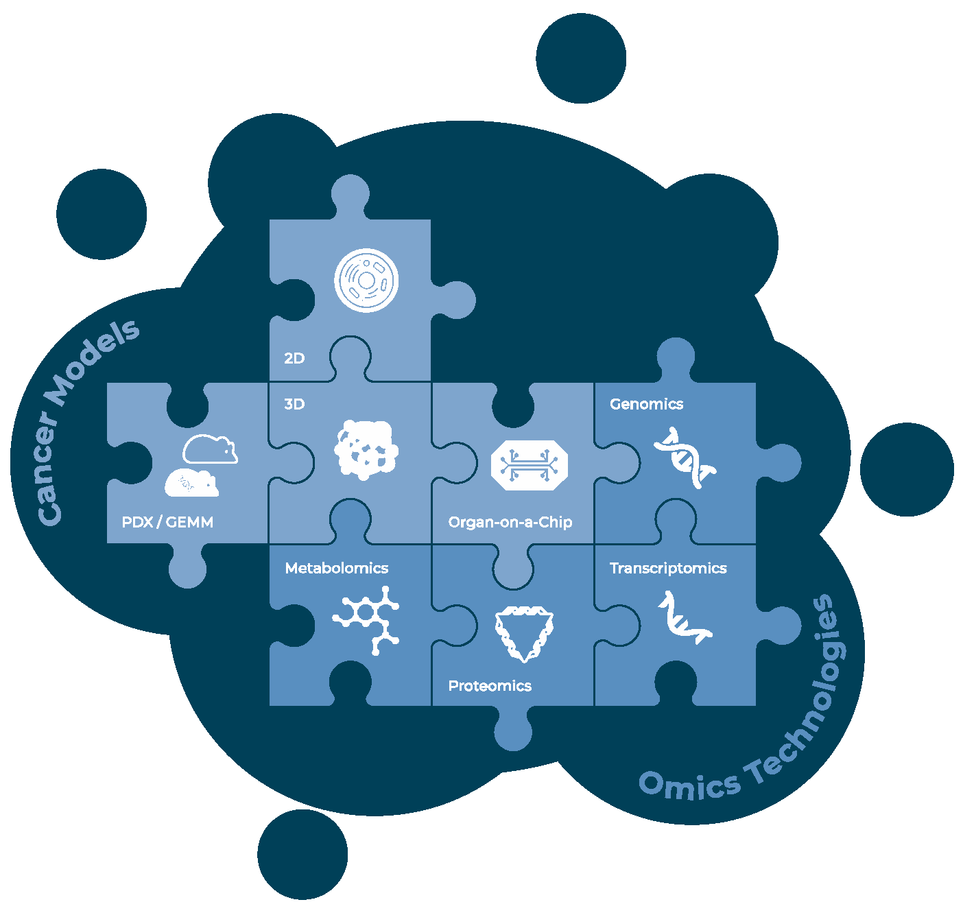 Cells 10 00928 g002 Cells 10 00928 g002