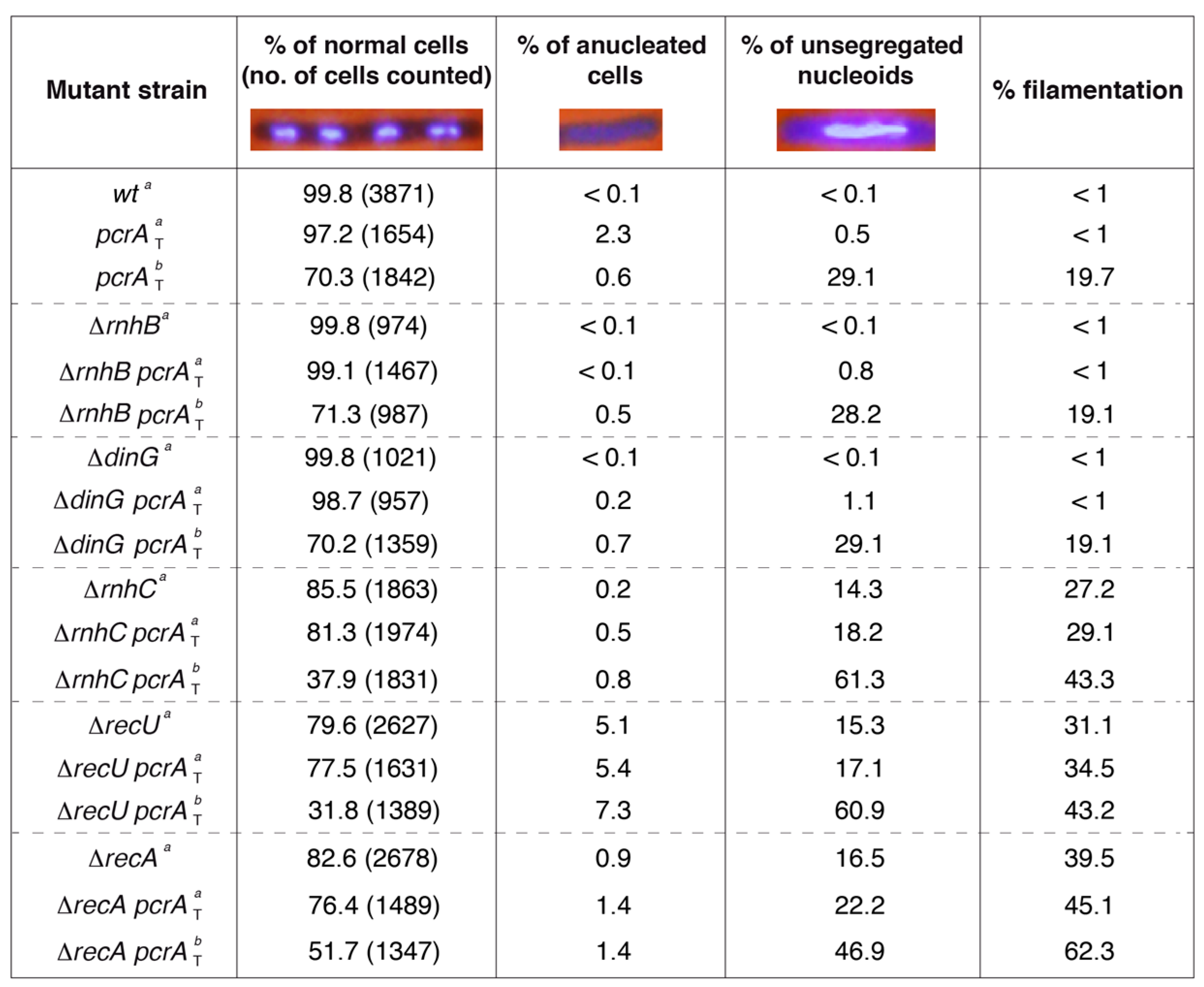 Cells 10 00935 g002 Cells 10 00935 g002