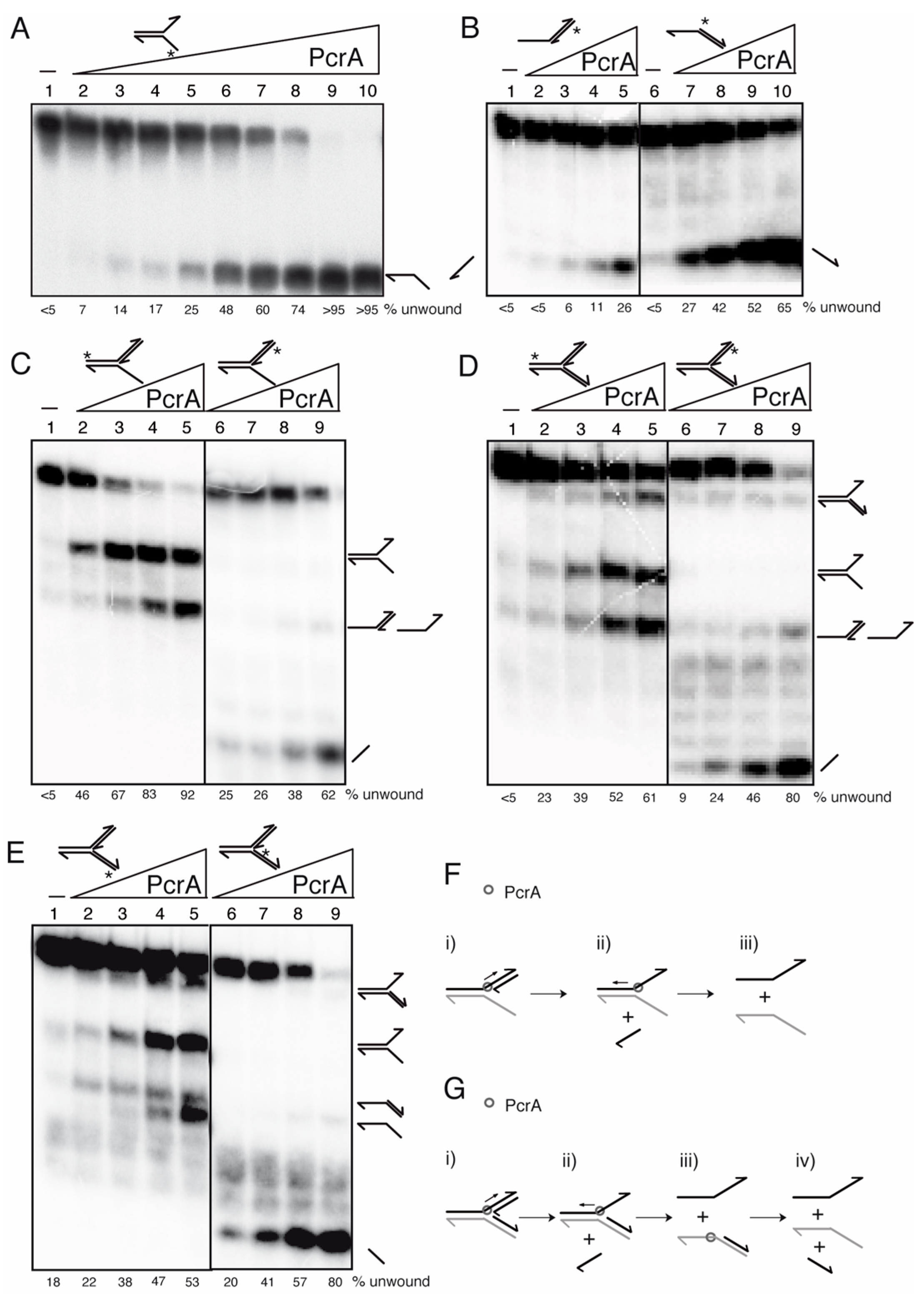 Cells 10 00935 g005 Cells 10 00935 g005