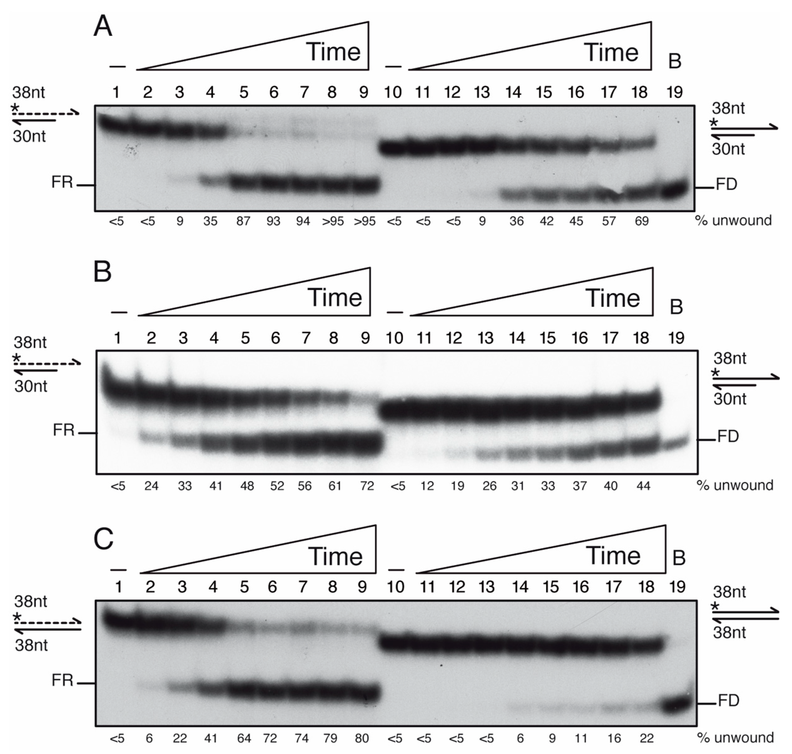 Cells 10 00935 g006 Cells 10 00935 g006
