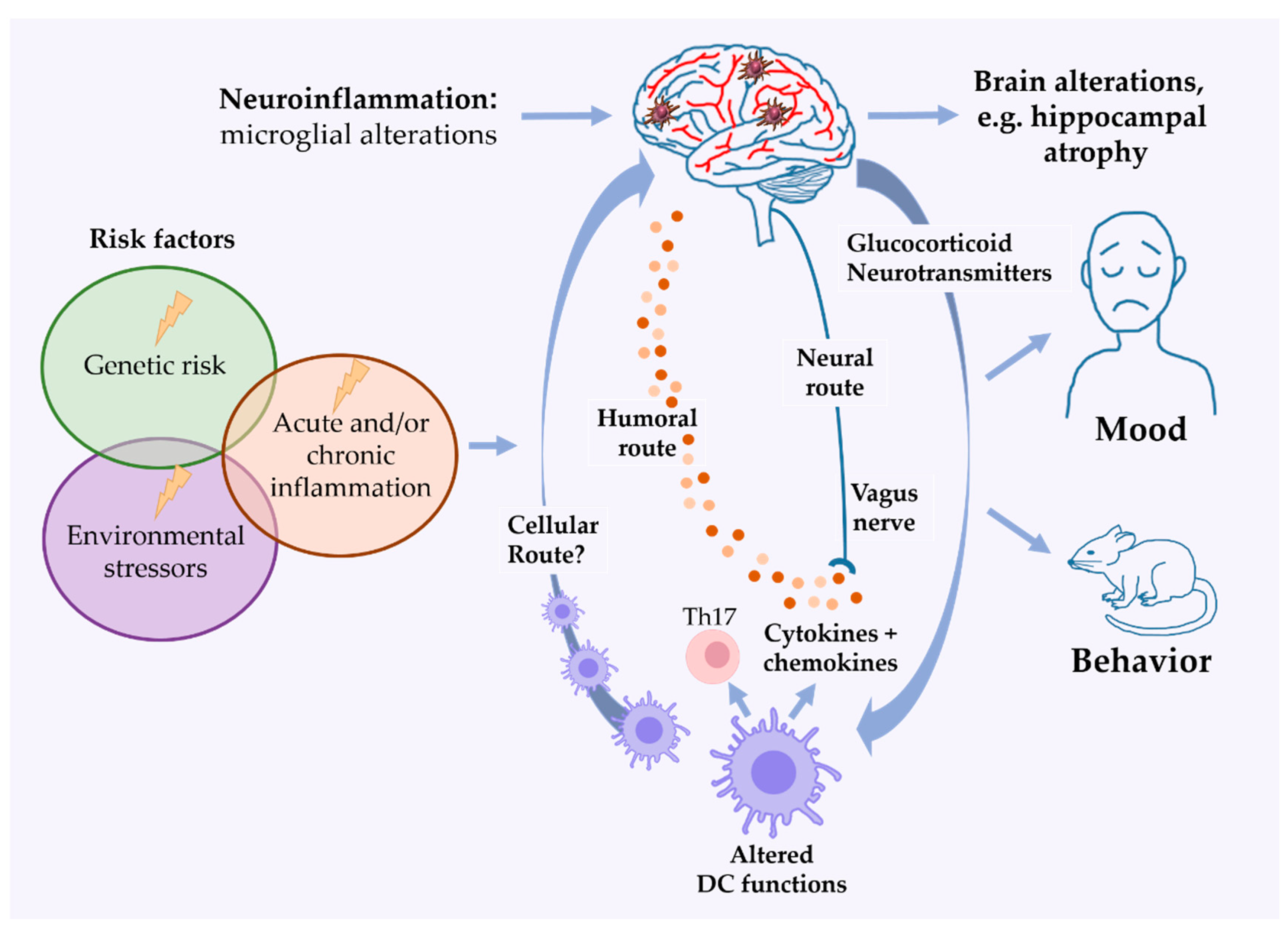 Cells 10 00941 g002 Cells 10 00941 g002