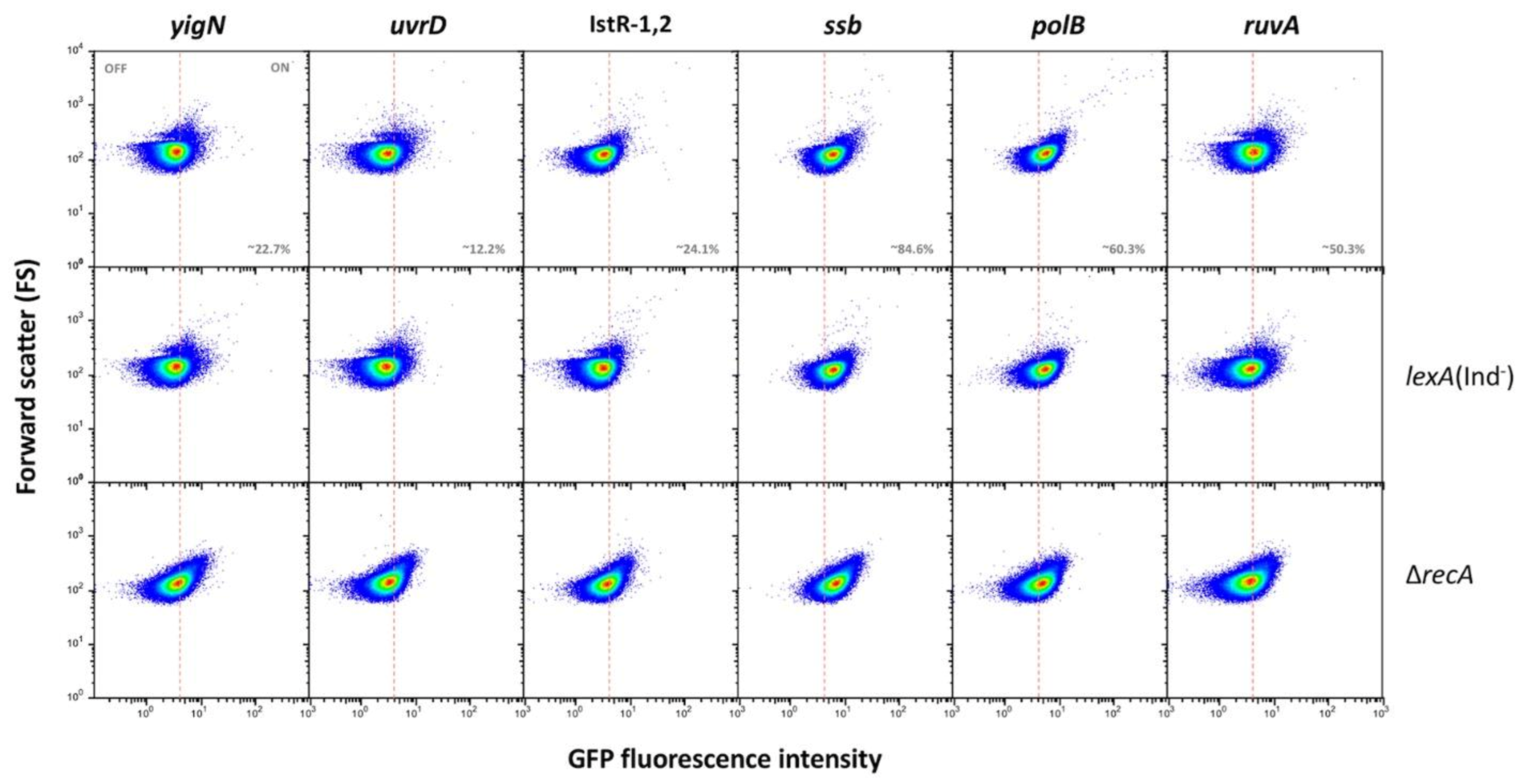 Cells 10 00943 g002 Cells 10 00943 g002