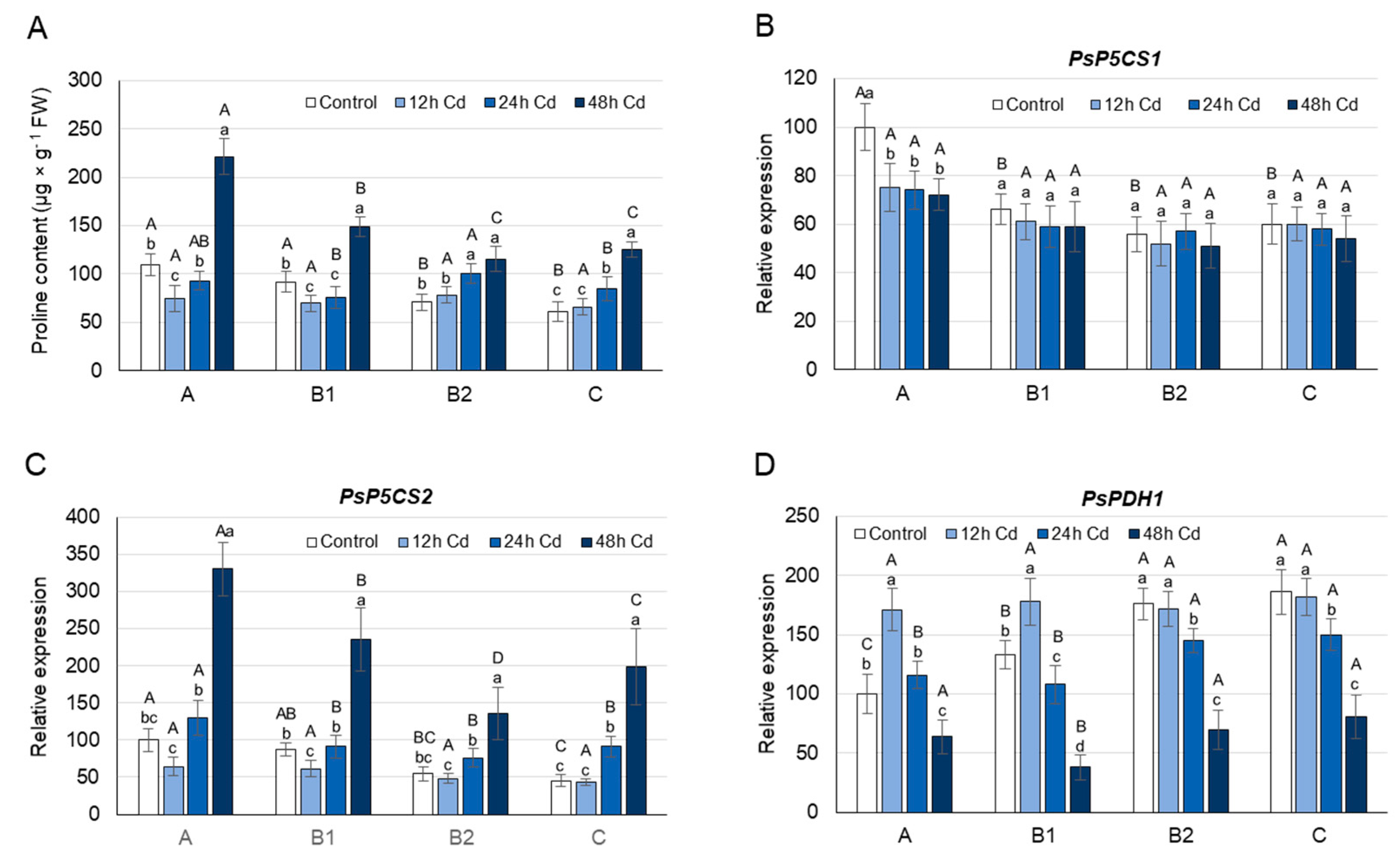 Cells 10 00946 g002 Cells 10 00946 g002