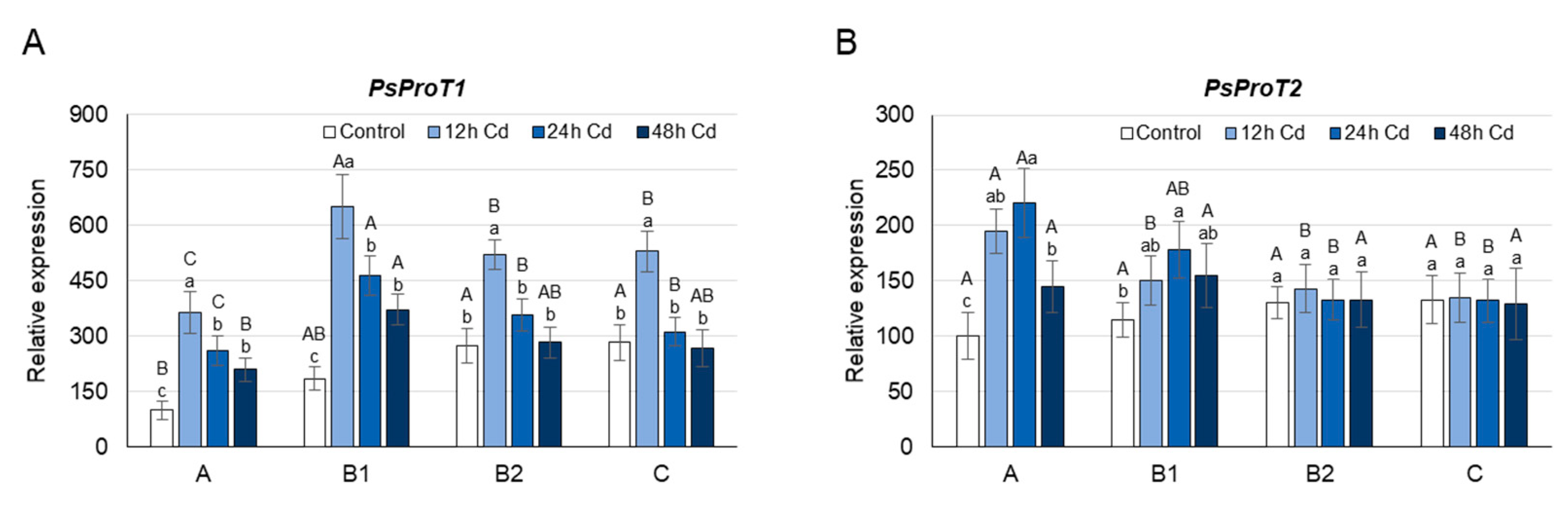 Cells 10 00946 g003 Cells 10 00946 g003