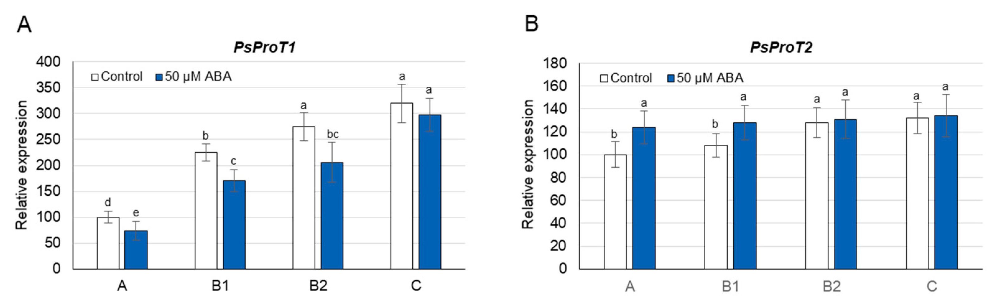 Cells 10 00946 g006 Cells 10 00946 g006