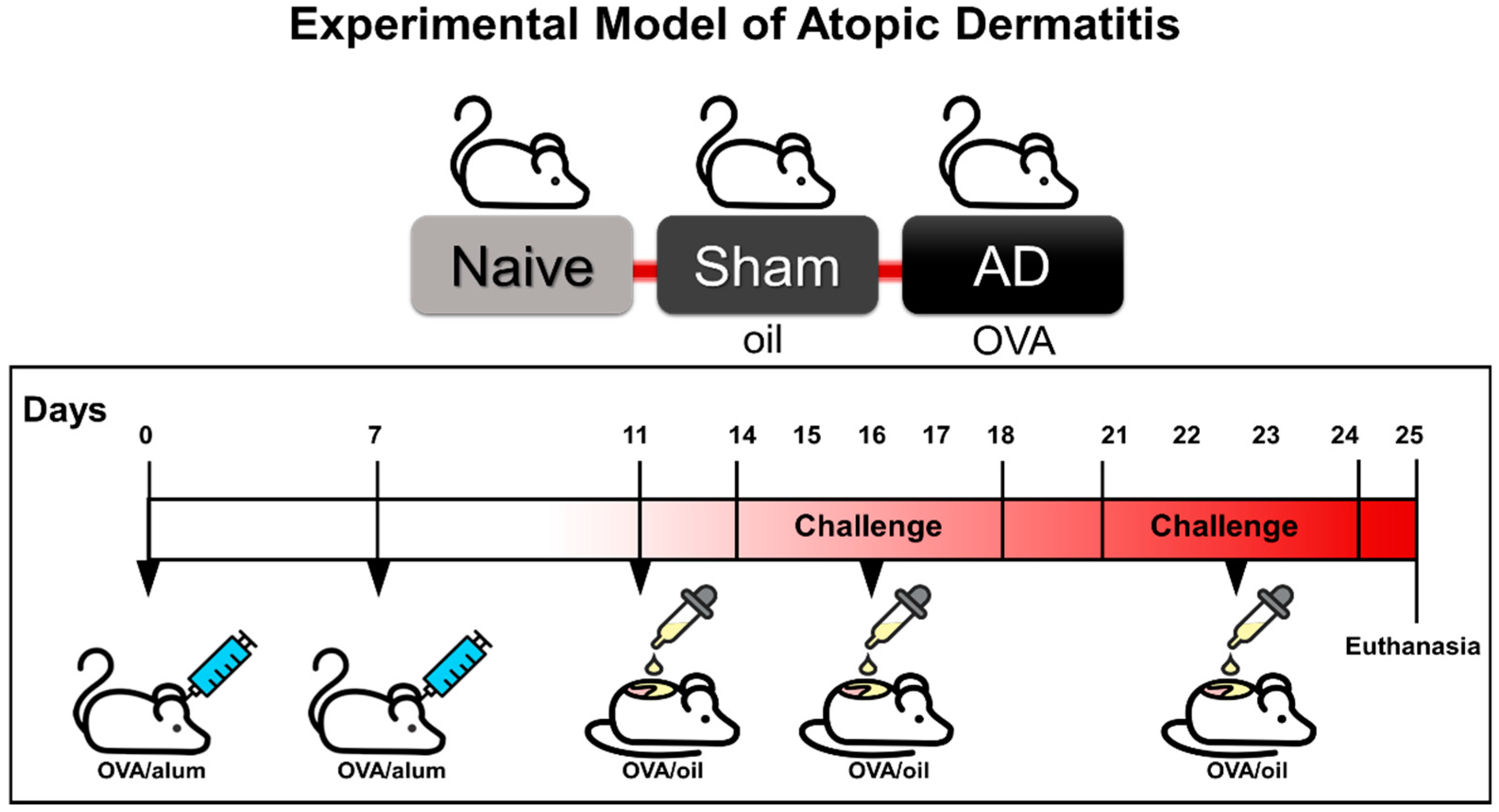 Cells 10 00947 g001 Cells 10 00947 g001
