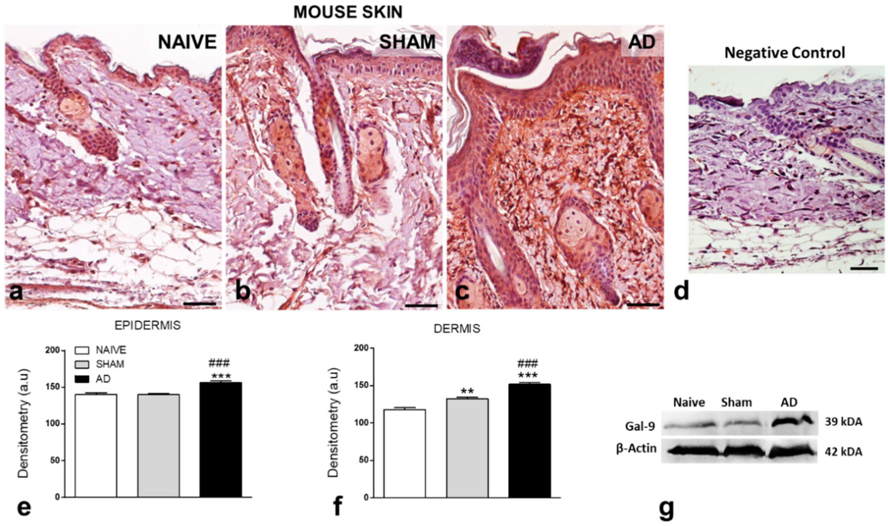 Cells 10 00947 g003 Cells 10 00947 g003