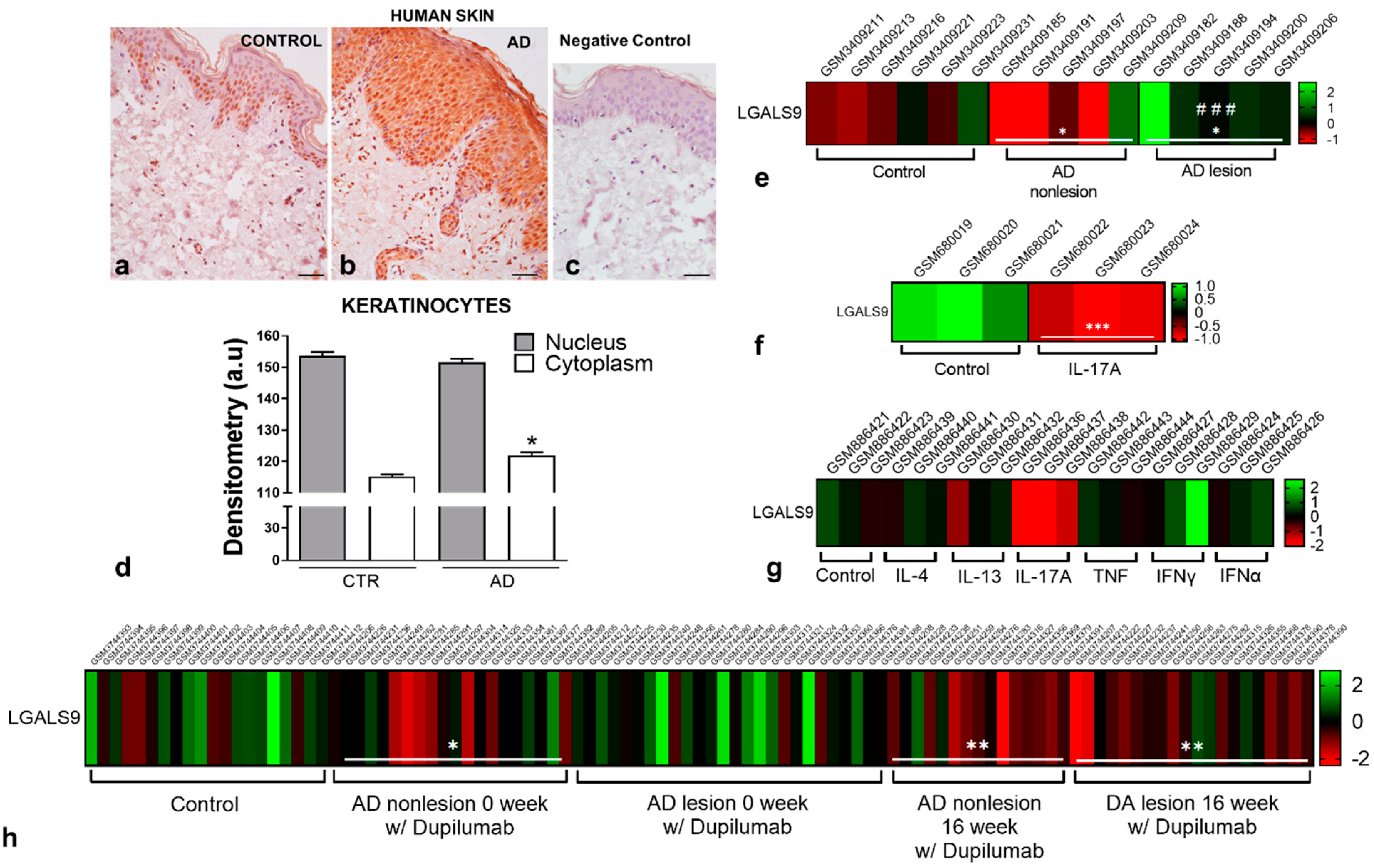 Cells 10 00947 g004 Cells 10 00947 g004