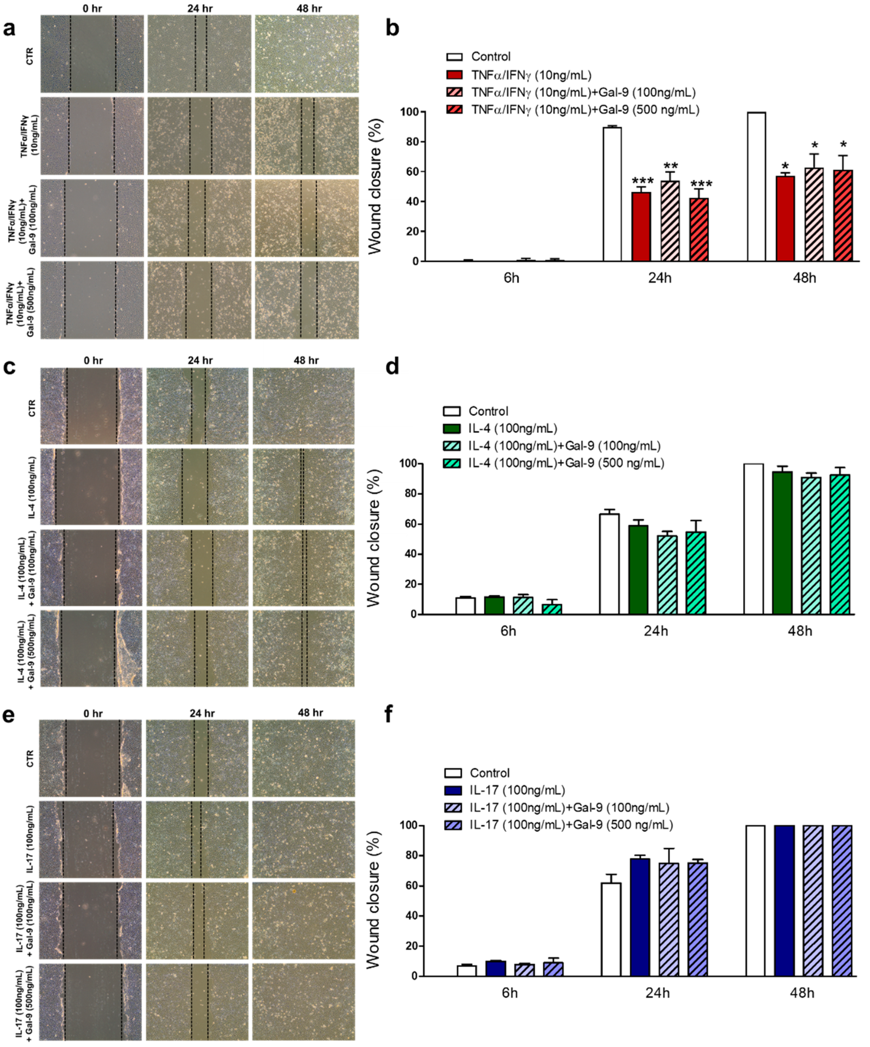Cells 10 00947 g007 Cells 10 00947 g007