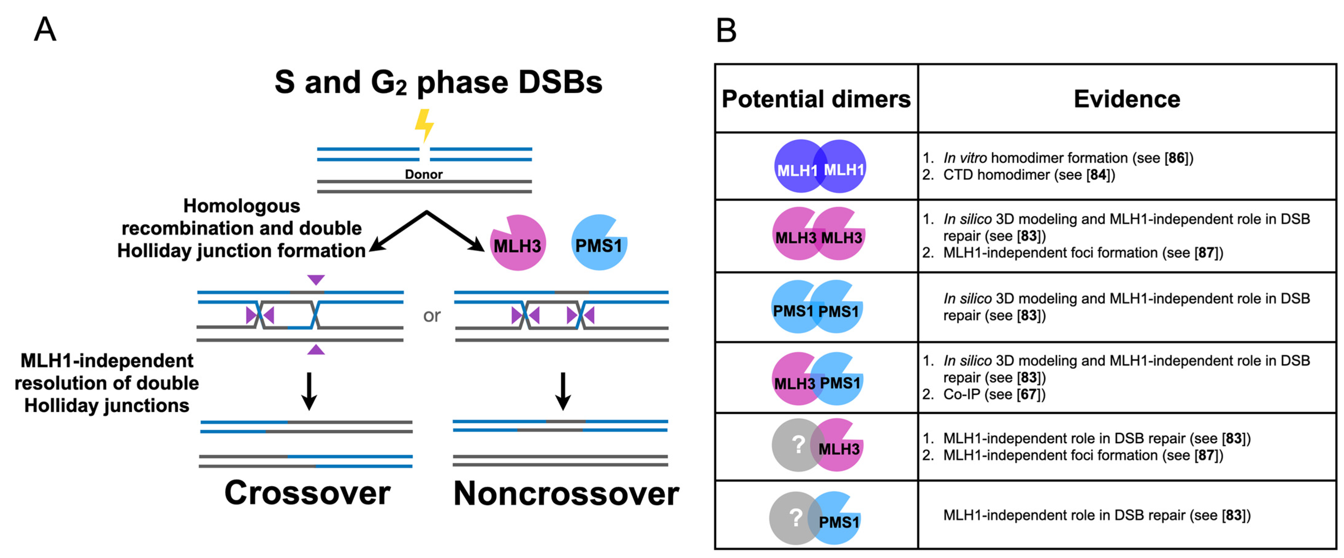 Cells 10 00948 g004 Cells 10 00948 g004