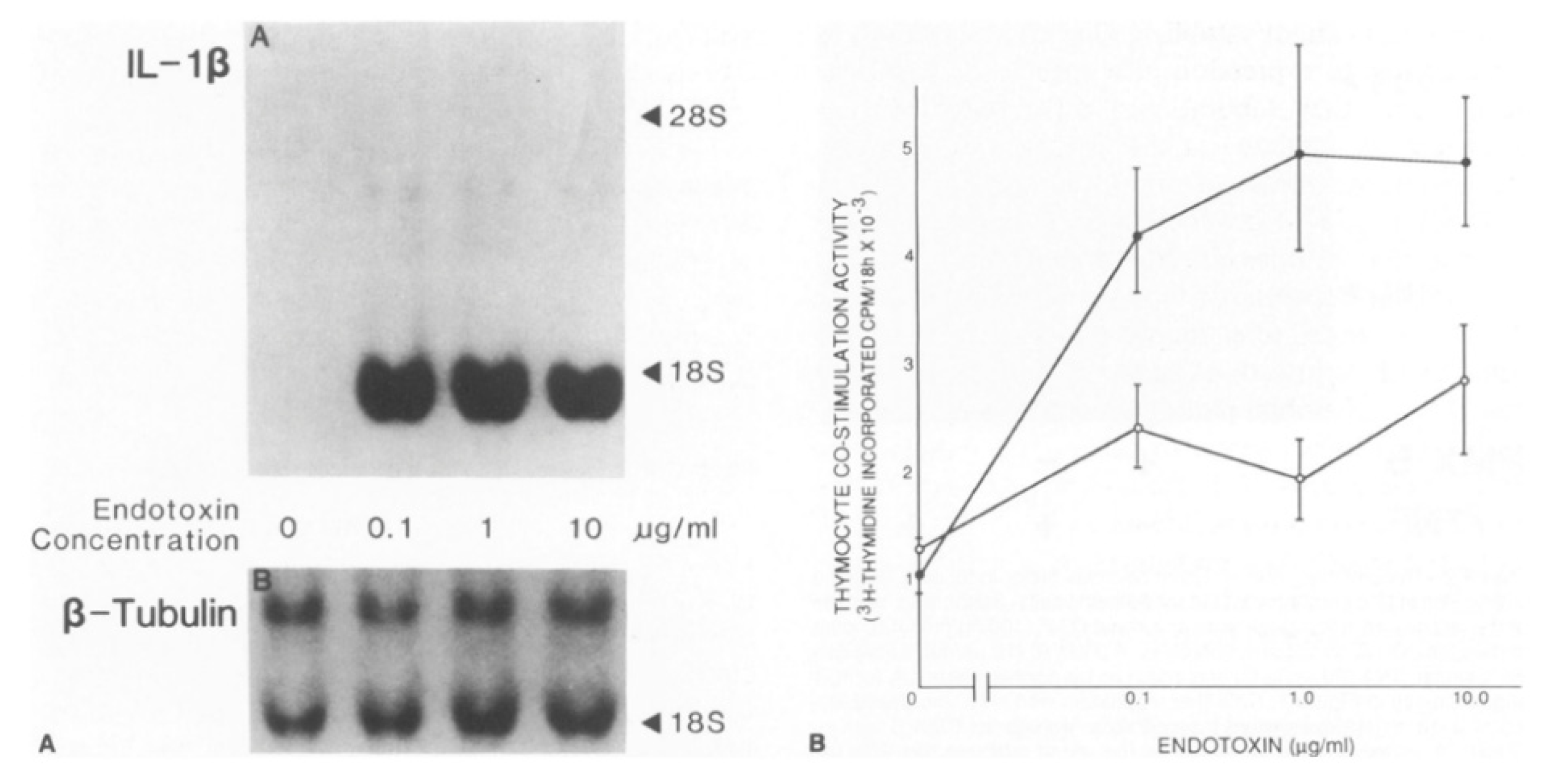Cells 10 00951 g001 Cells 10 00951 g001