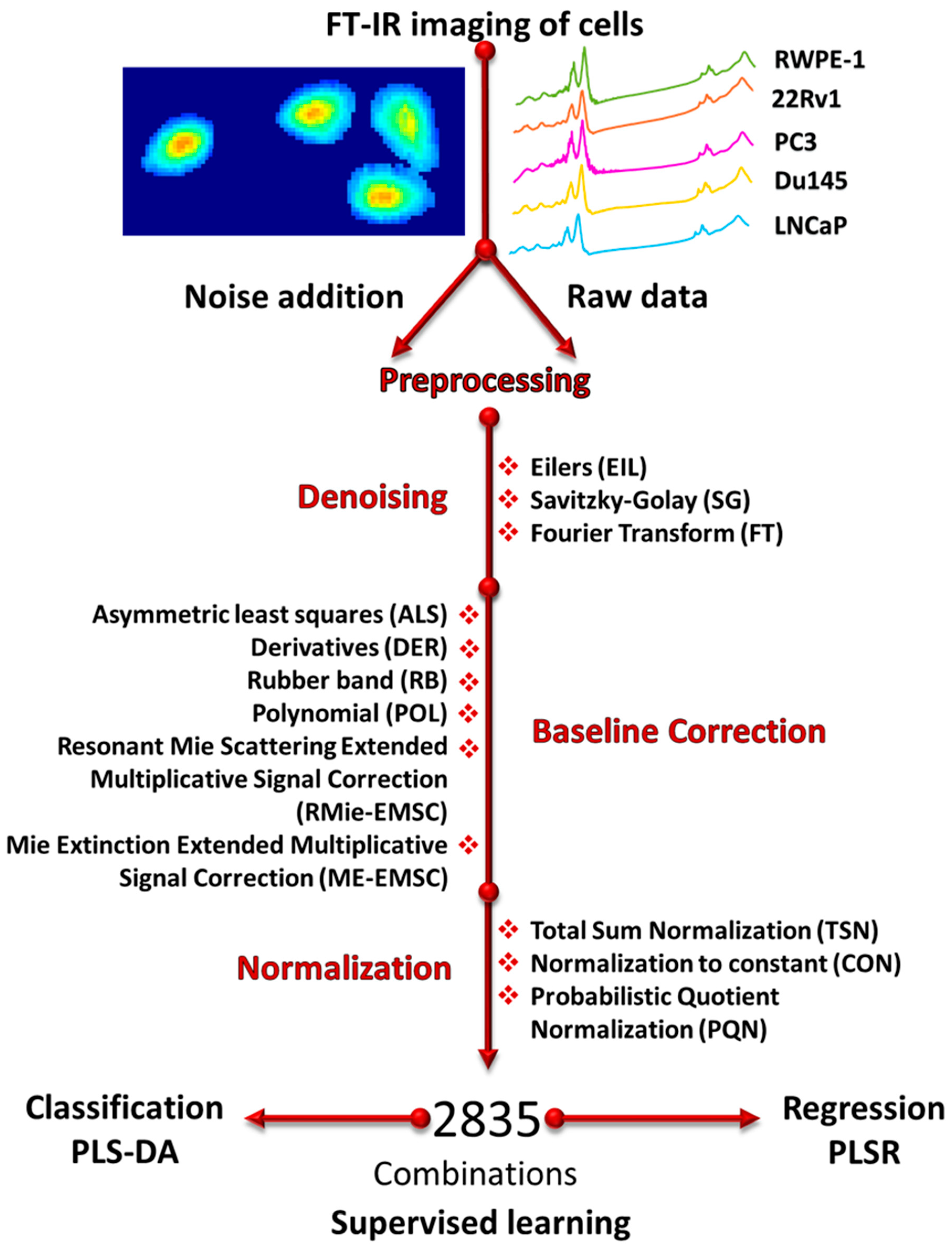 Cells 10 00953 g001 Cells 10 00953 g001