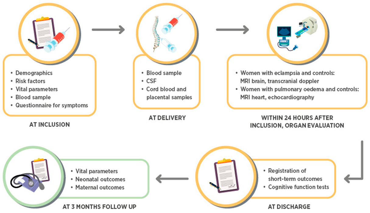 Cells 10 00959 g001 Cells 10 00959 g001