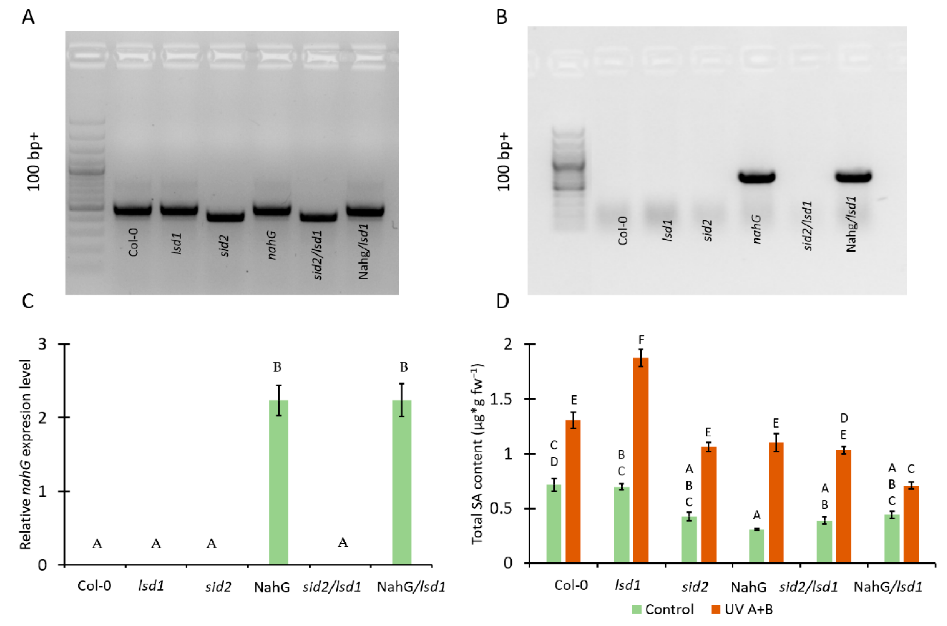 Cells 10 00962 g001 Cells 10 00962 g001