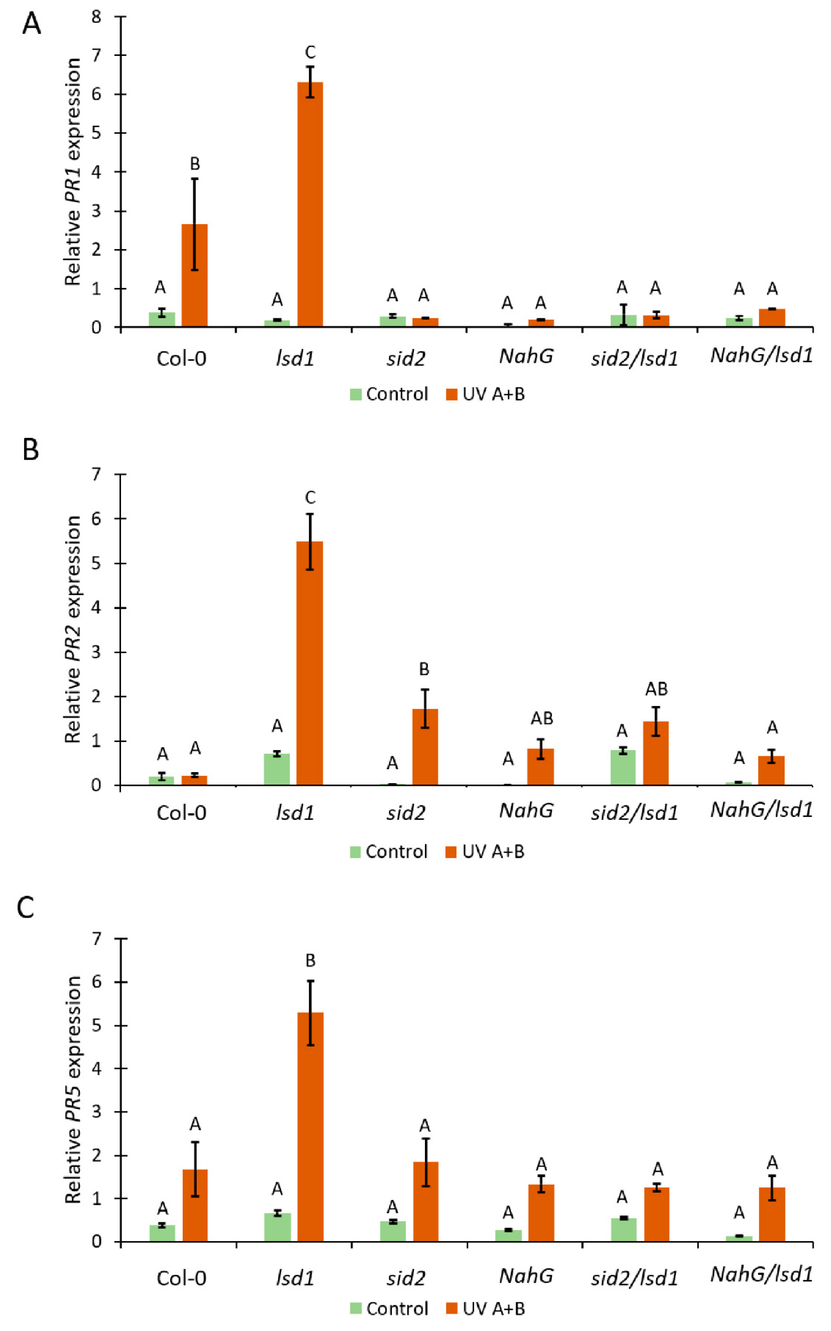 Cells 10 00962 g003 Cells 10 00962 g003